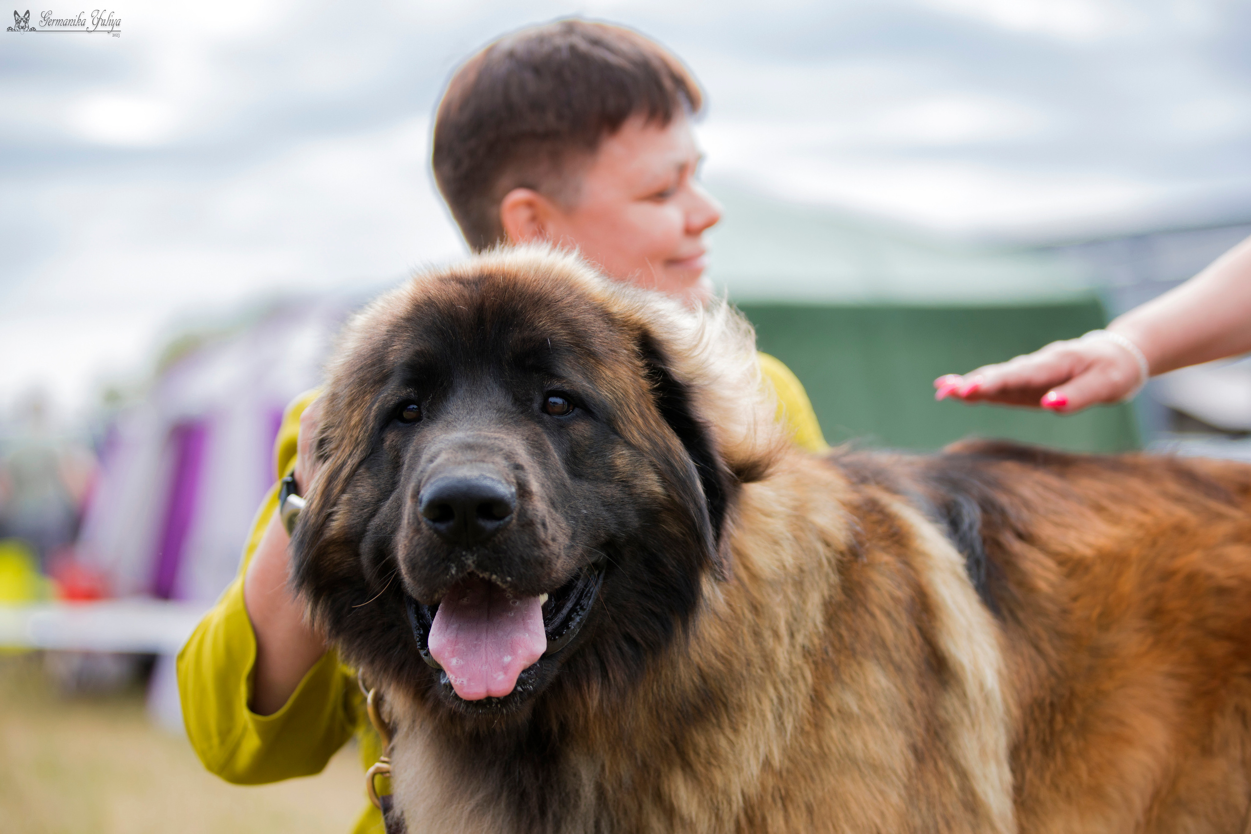 Волжанка 8.07.2023. Фотограф-анималист Юлия Германика