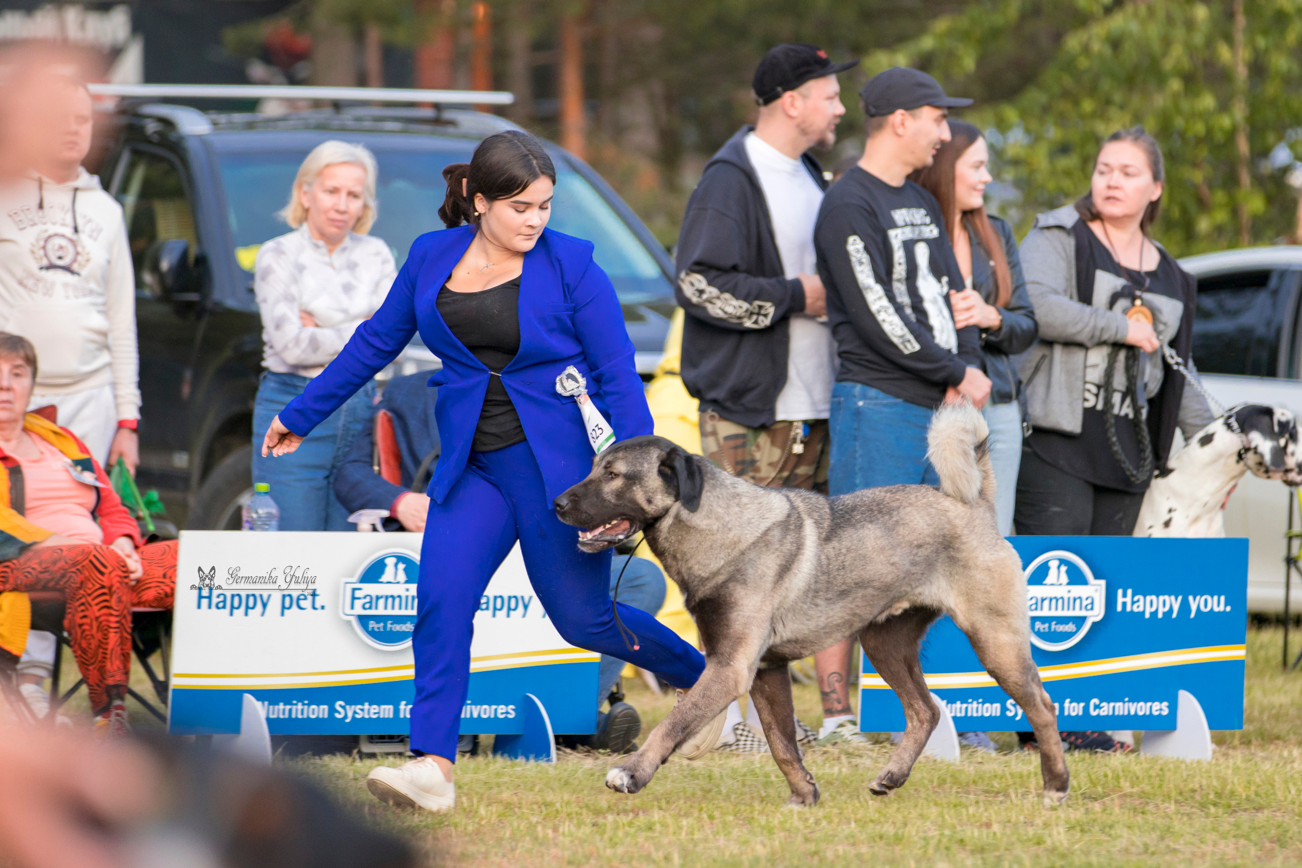 Владимир 1-2.07.2023. Фотограф-анималист Юлия Германика
