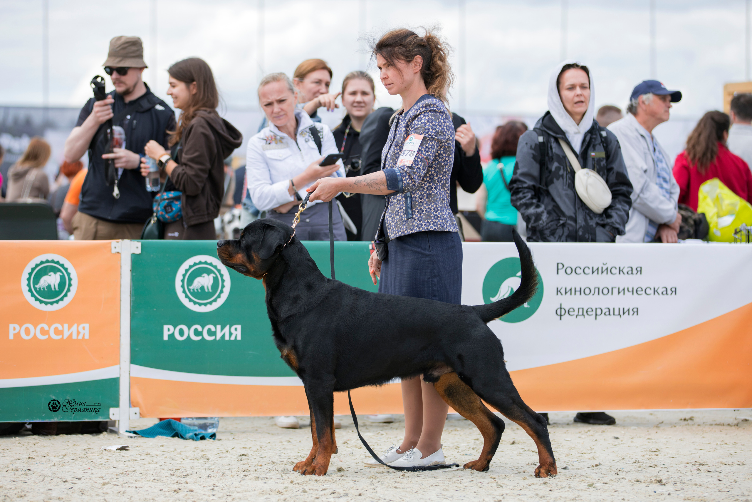 Россия 10-11.06.2023. Фотограф-анималист Юлия Германика