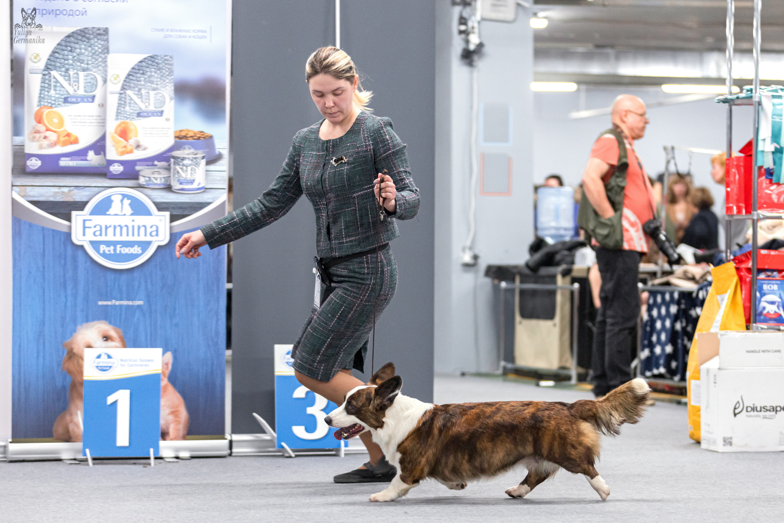 Сфера+доберманы 02.04.2023. Фотограф-анималист Юлия Германика