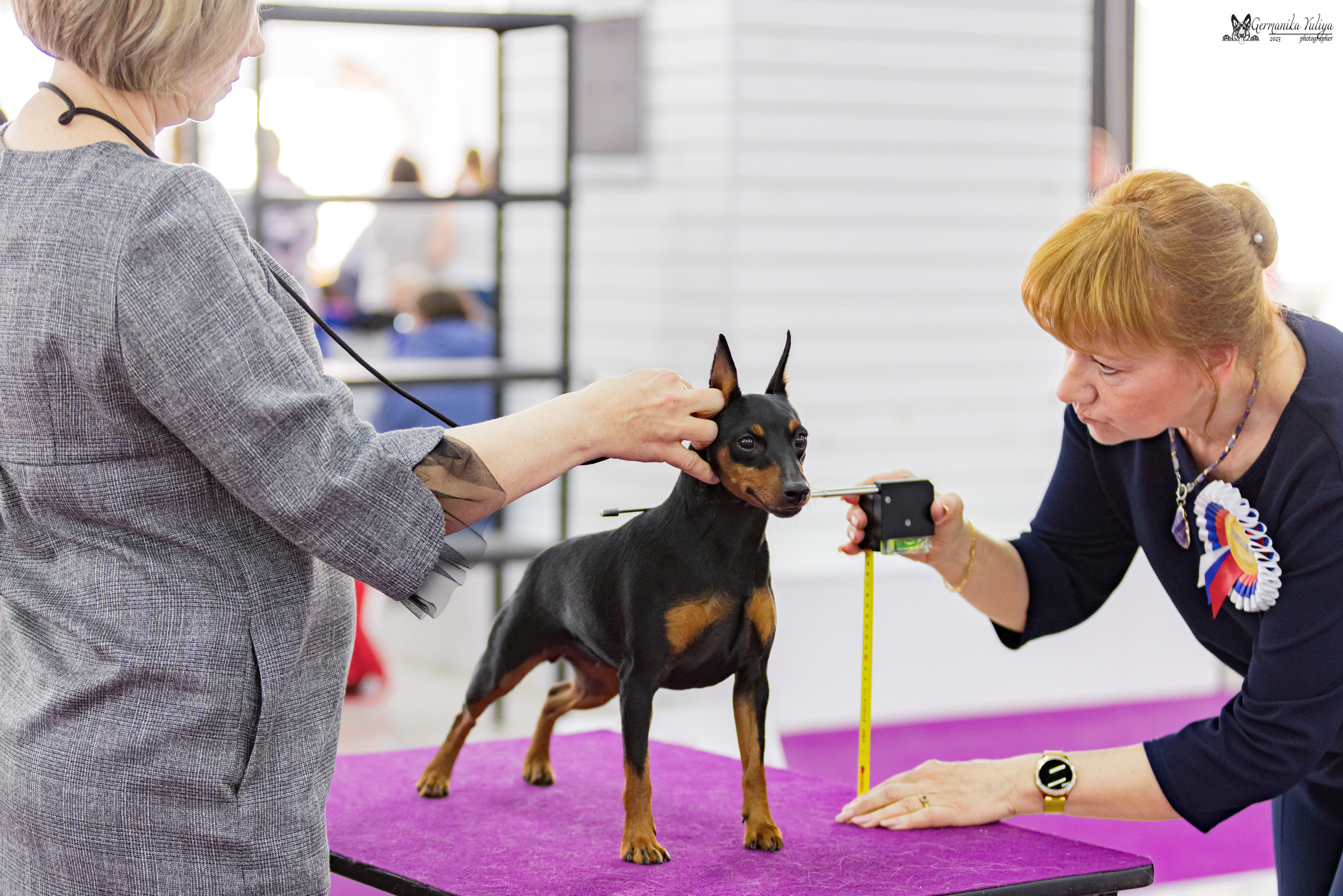 МД 15.04.2023. Фотограф-анималист Юлия Германика