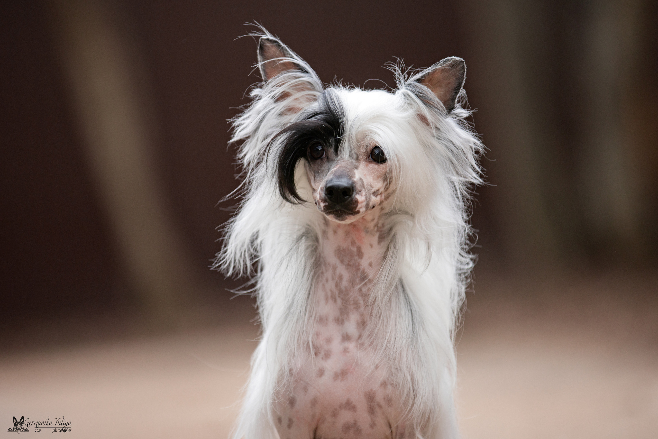 Сфера+МД 8-9.04.2023. Фотограф-анималист Юлия Германика