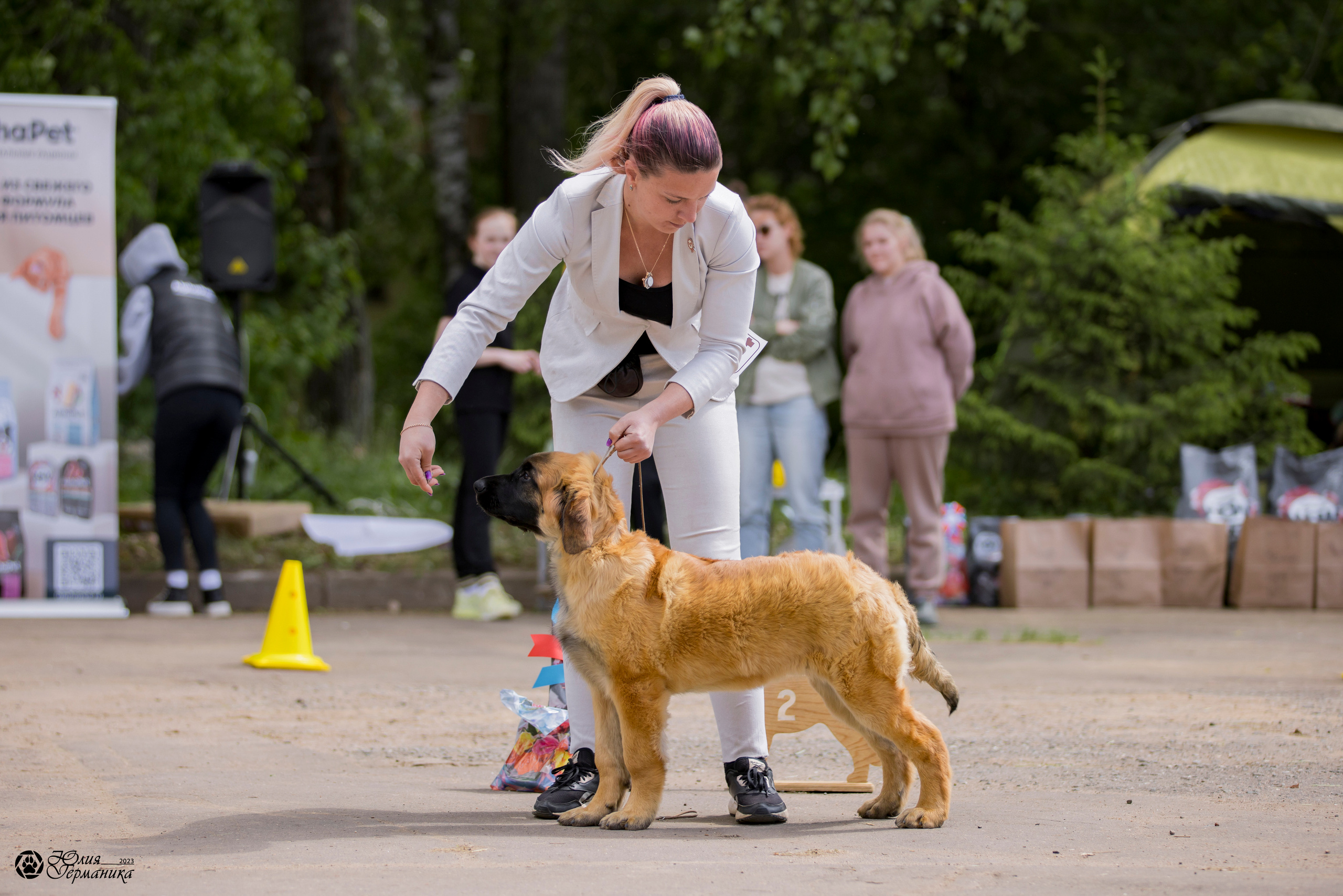 Националка Леонбергеров 28.05.2023. Фотограф-анималист Юлия Германика