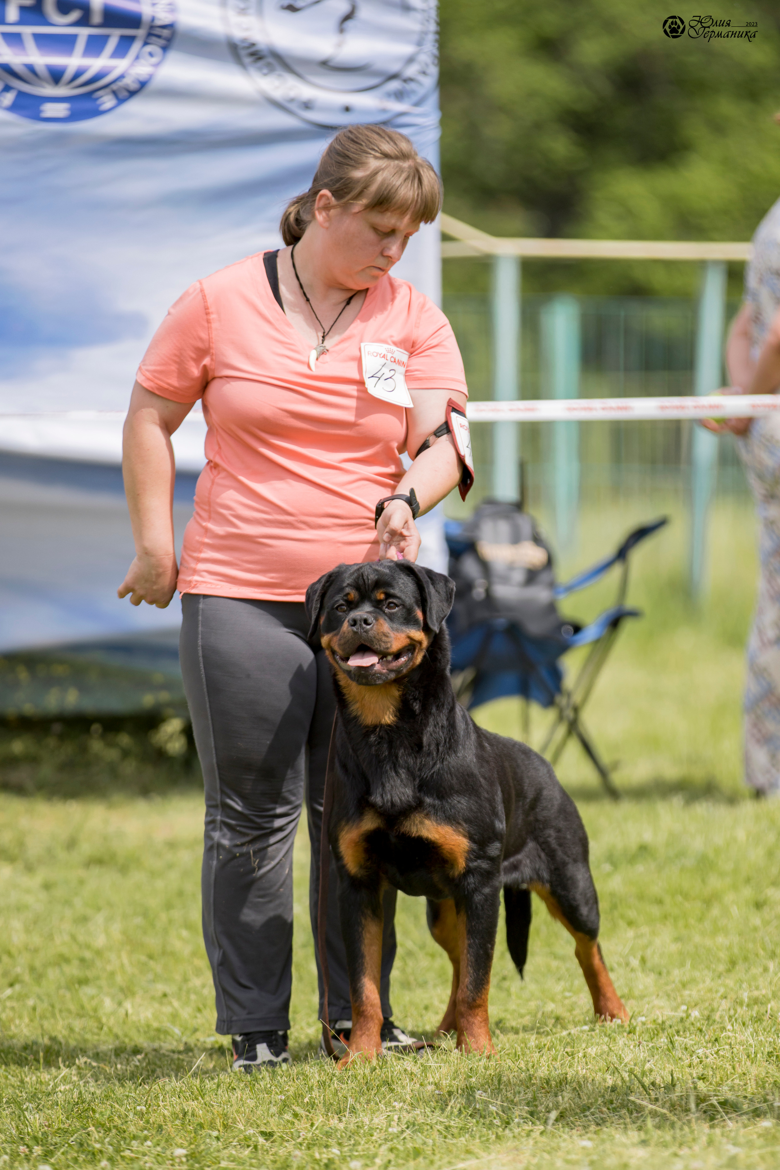 Воронеж 2хмоно ротвейлеров 3-4.06.2023. Фотограф-анималист Юлия Германика