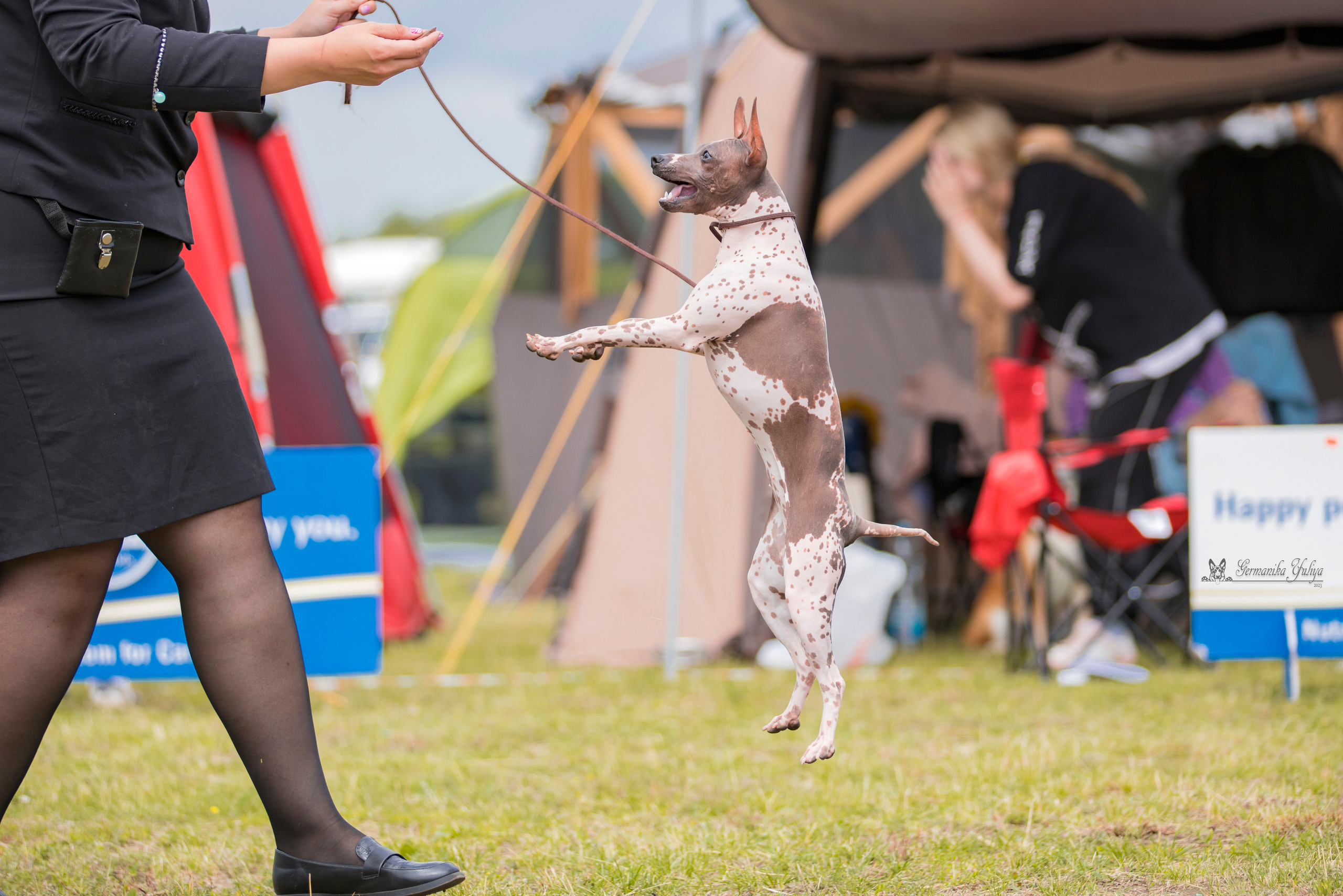 Владимир 1-2.07.2023. Фотограф-анималист Юлия Германика