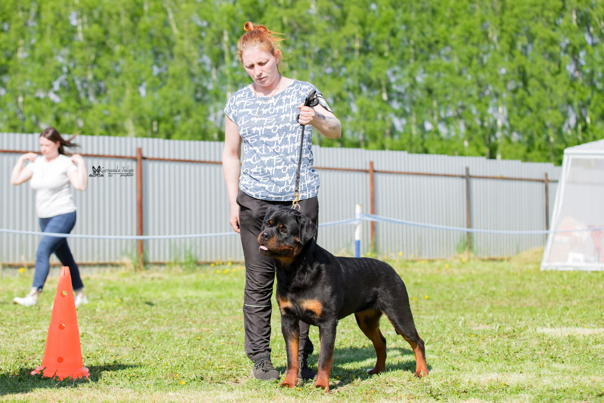 Нижний Новгород моно ротвейлеров 13.05.2023. Фотограф-анималист Юлия Германика