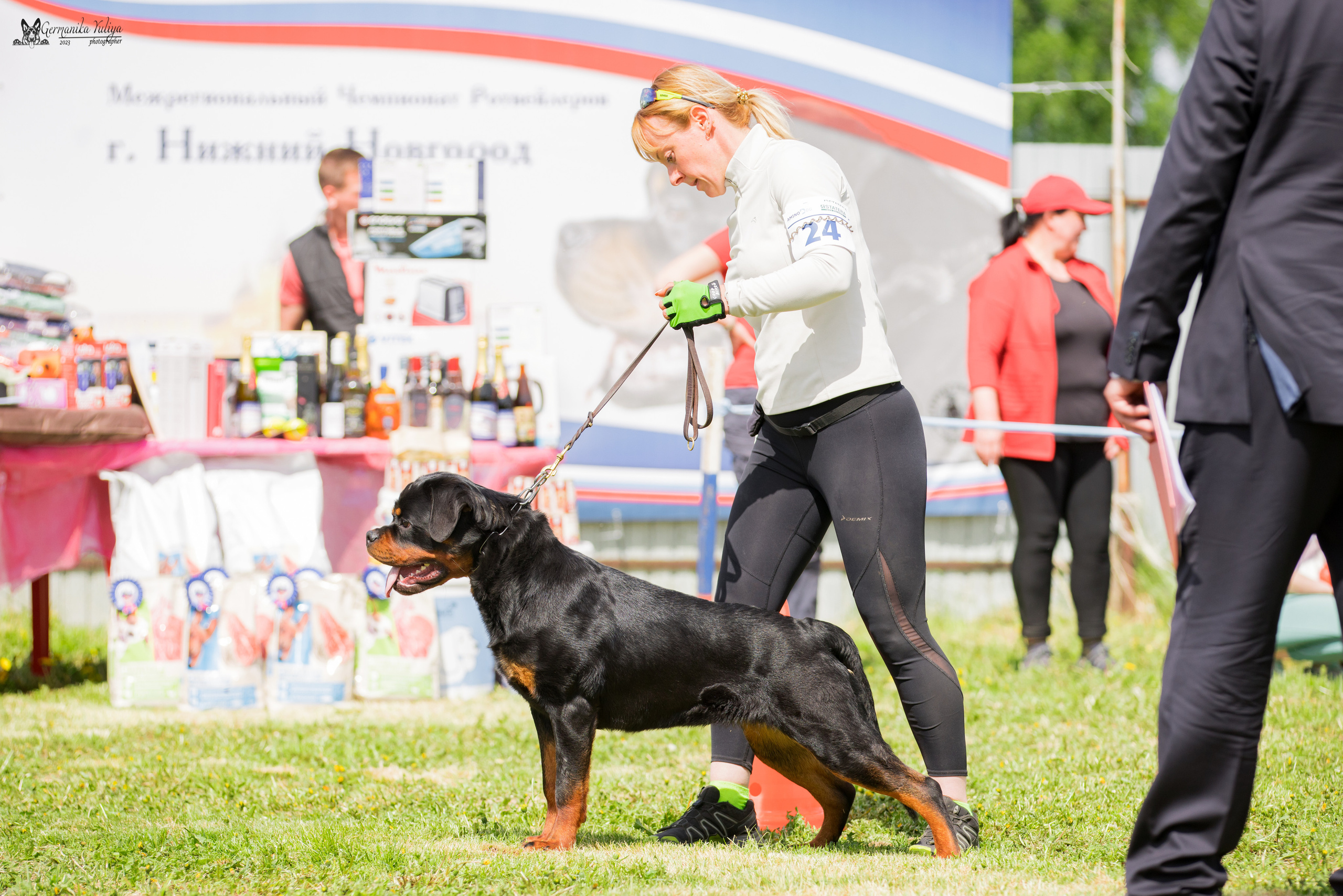 Нижний Новгород моно ротвейлеров 13.05.2023. Фотограф-анималист Юлия Германика