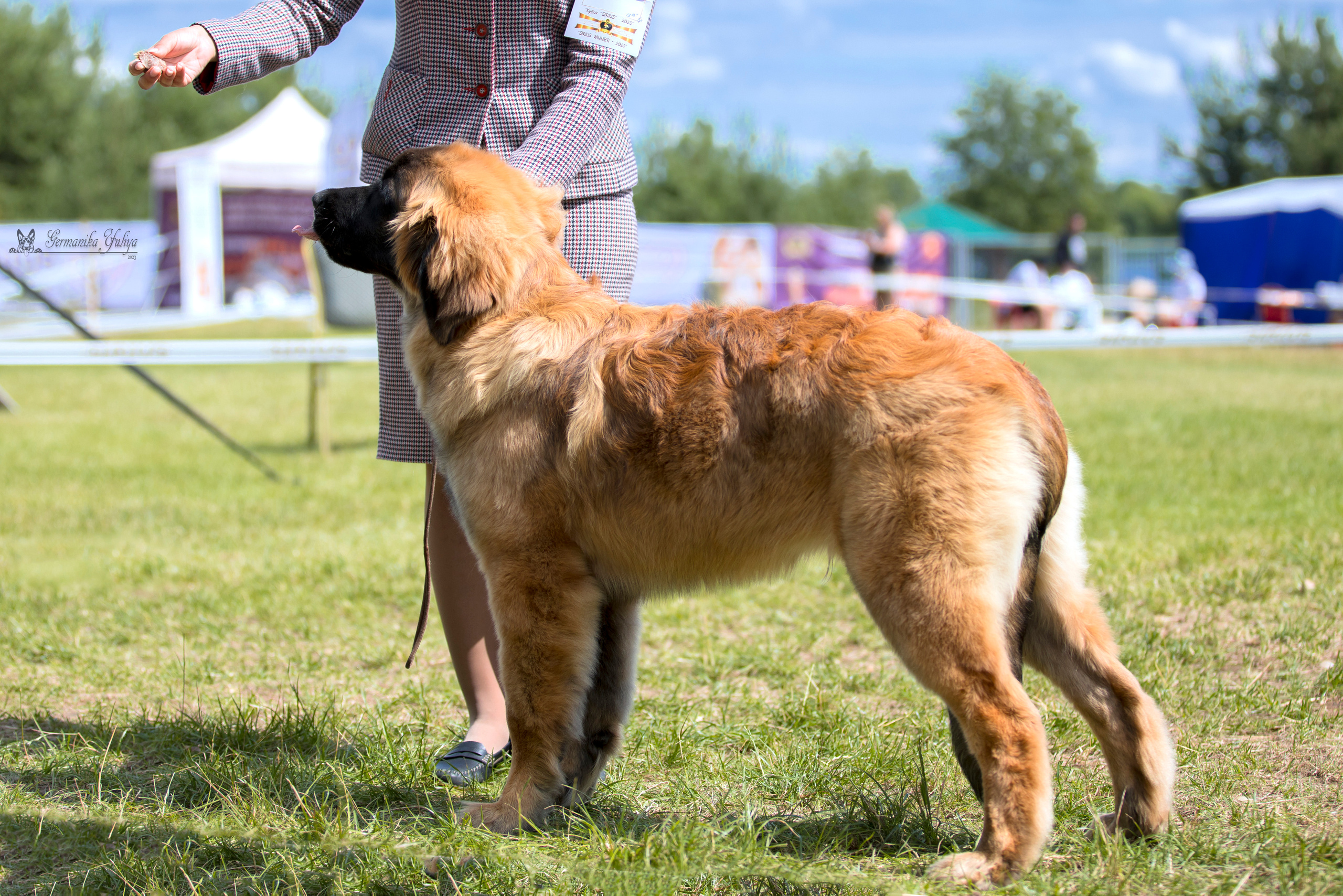 Волжанка 8.07.2023. Фотограф-анималист Юлия Германика