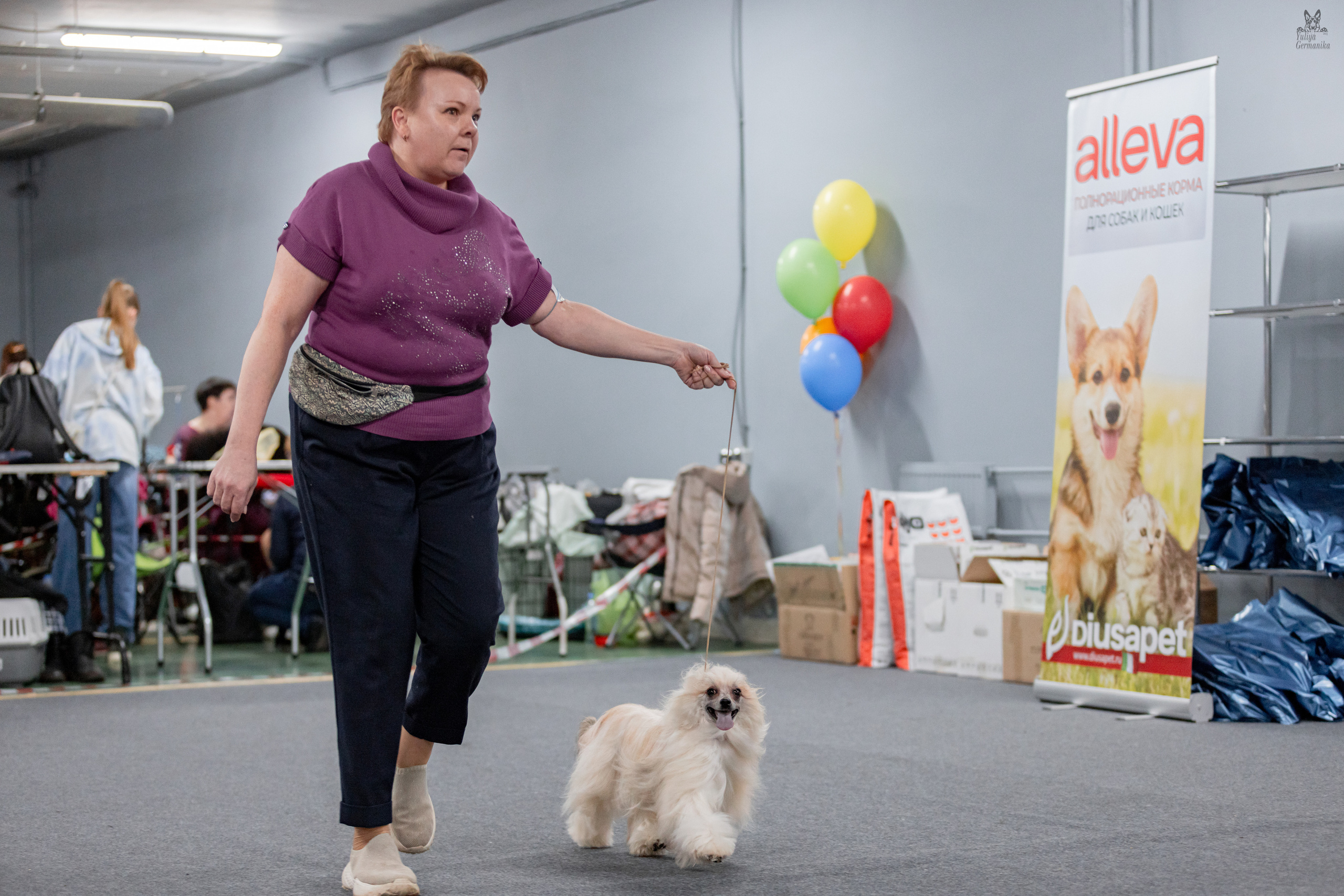 Сфера+доберманы 02.04.2023. Фотограф-анималист Юлия Германика