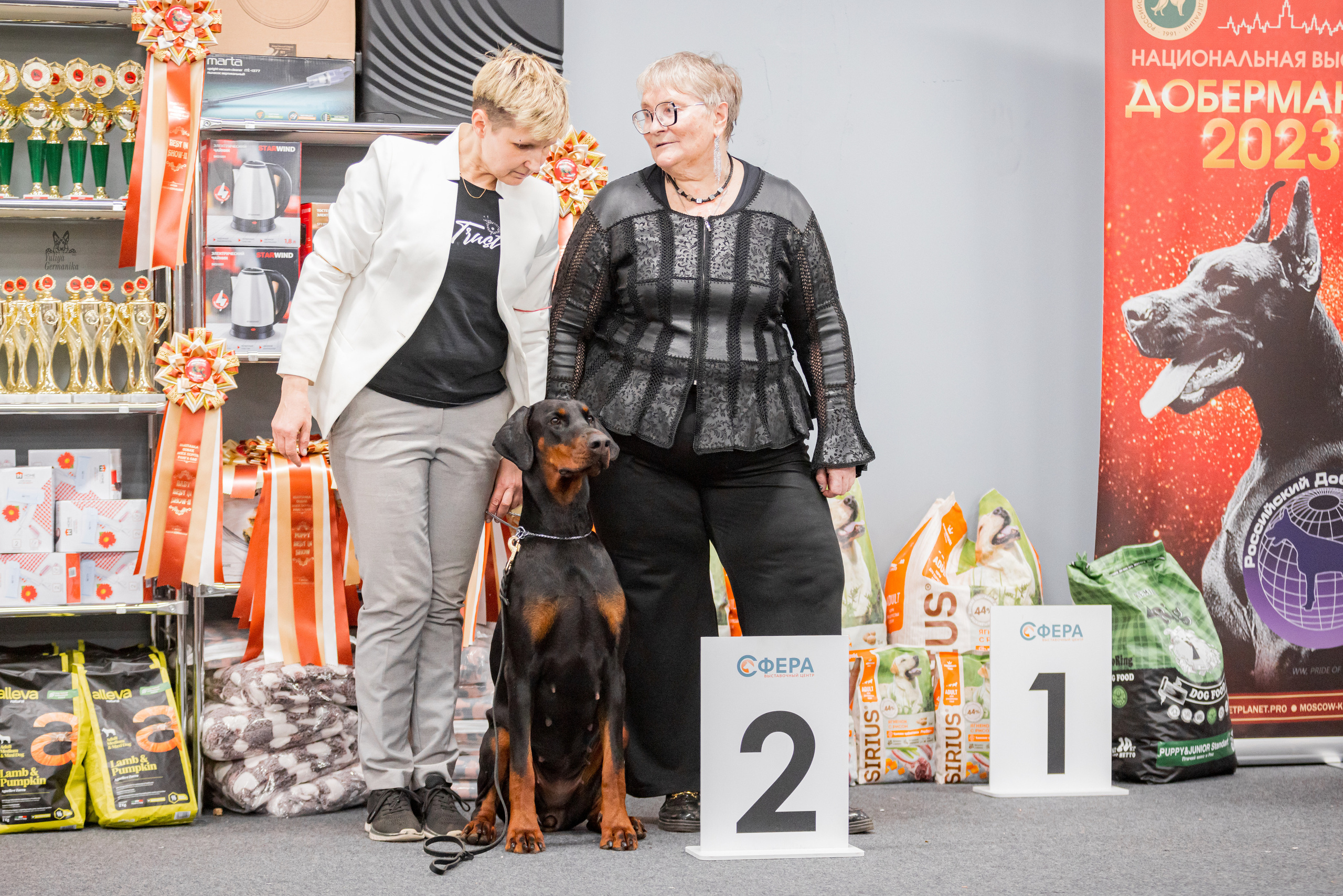 Сфера+доберманы 02.04.2023. Фотограф-анималист Юлия Германика