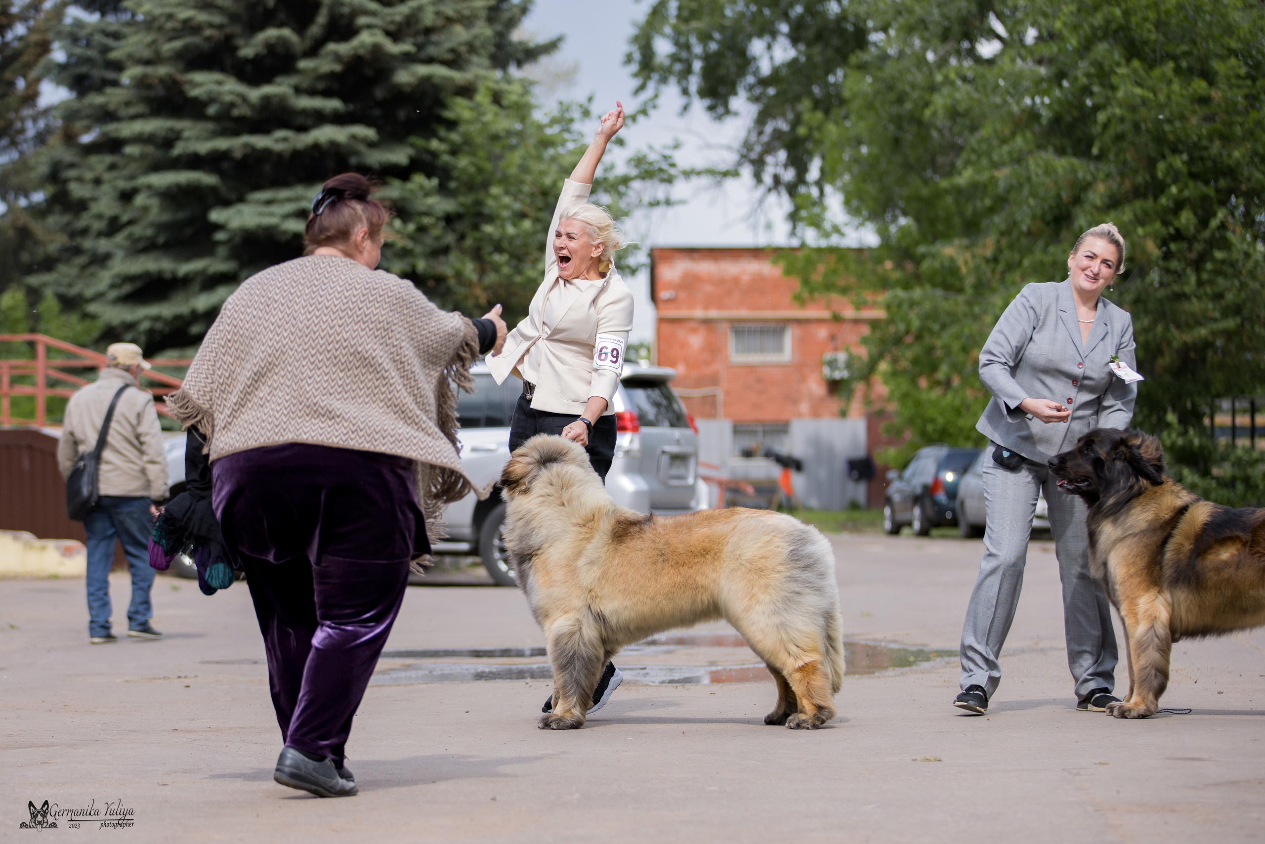 Националка Леонбергеров 28.05.2023. Фотограф-анималист Юлия Германика