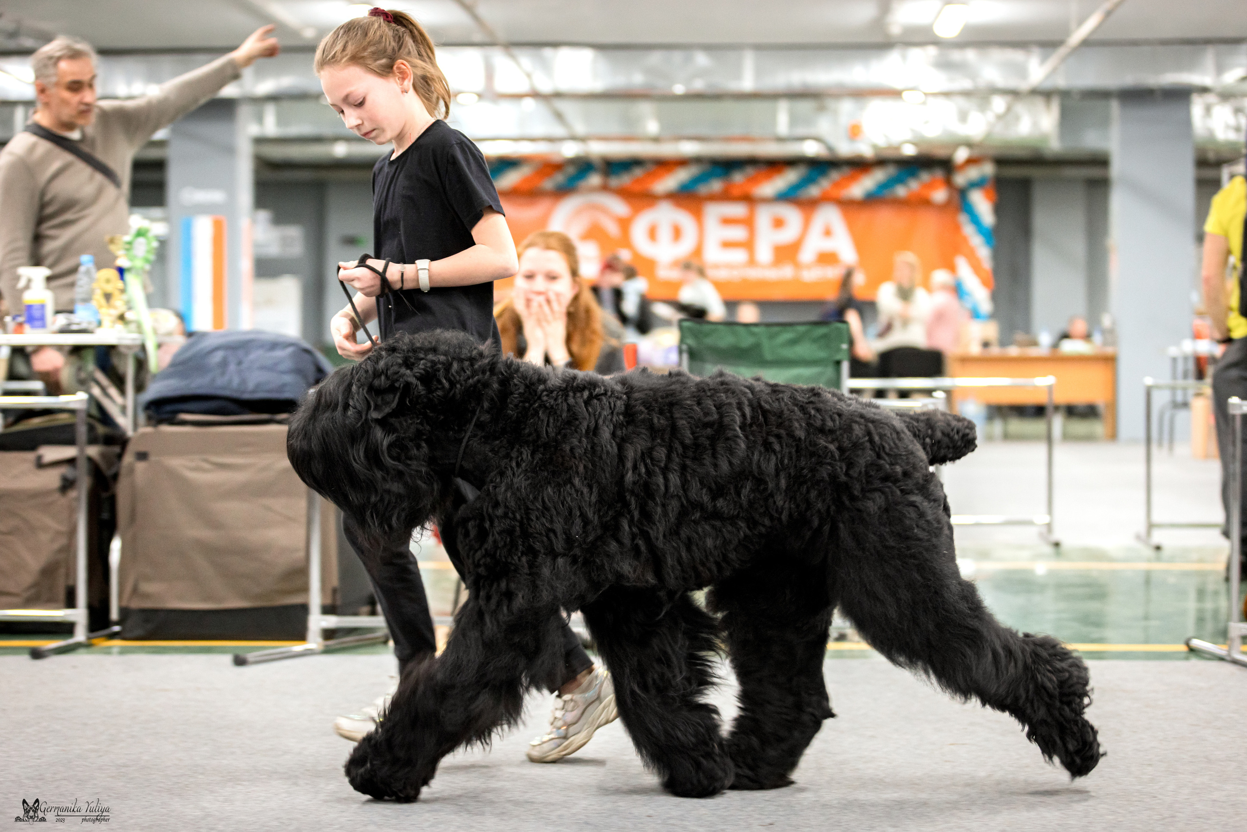 Сфера+МД 8-9.04.2023. Фотограф-анималист Юлия Германика