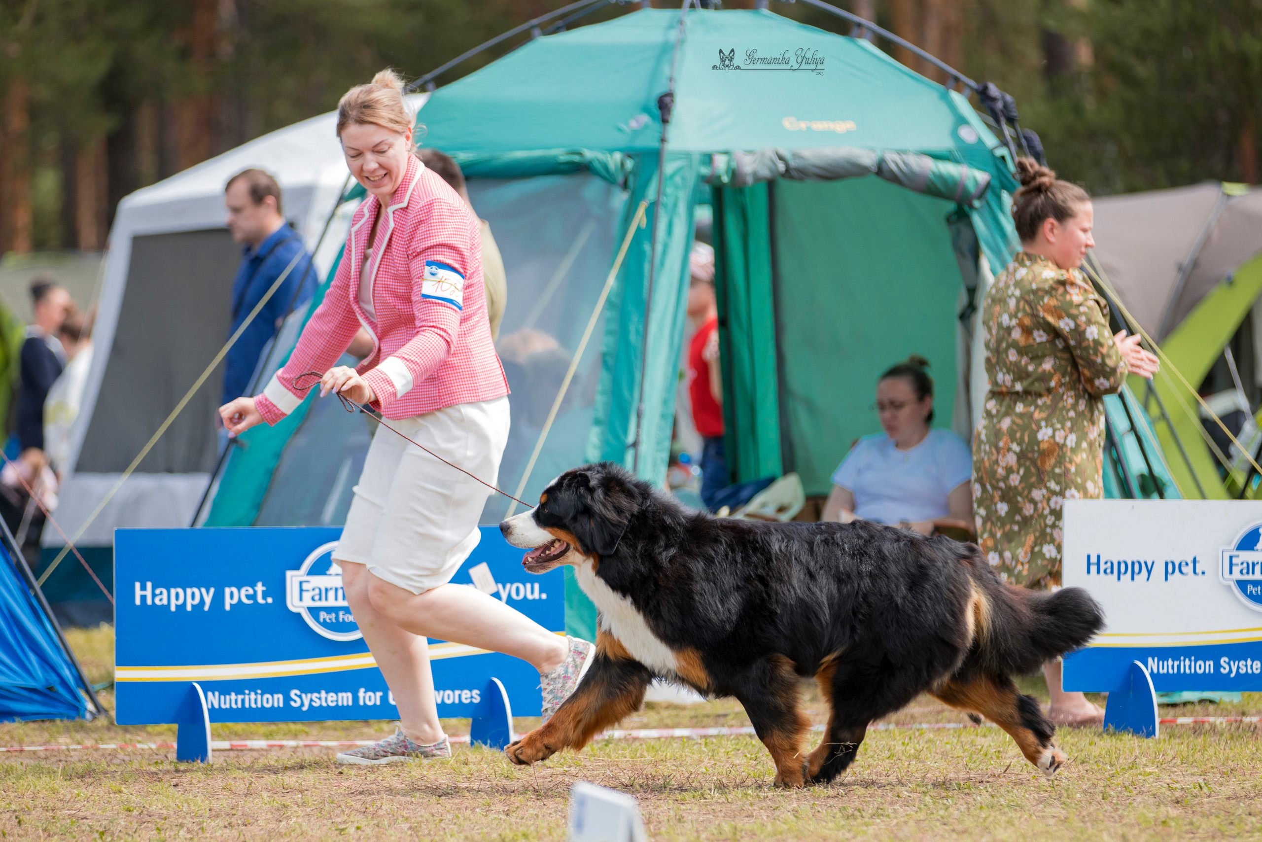 Владимир 1-2.07.2023. Фотограф-анималист Юлия Германика