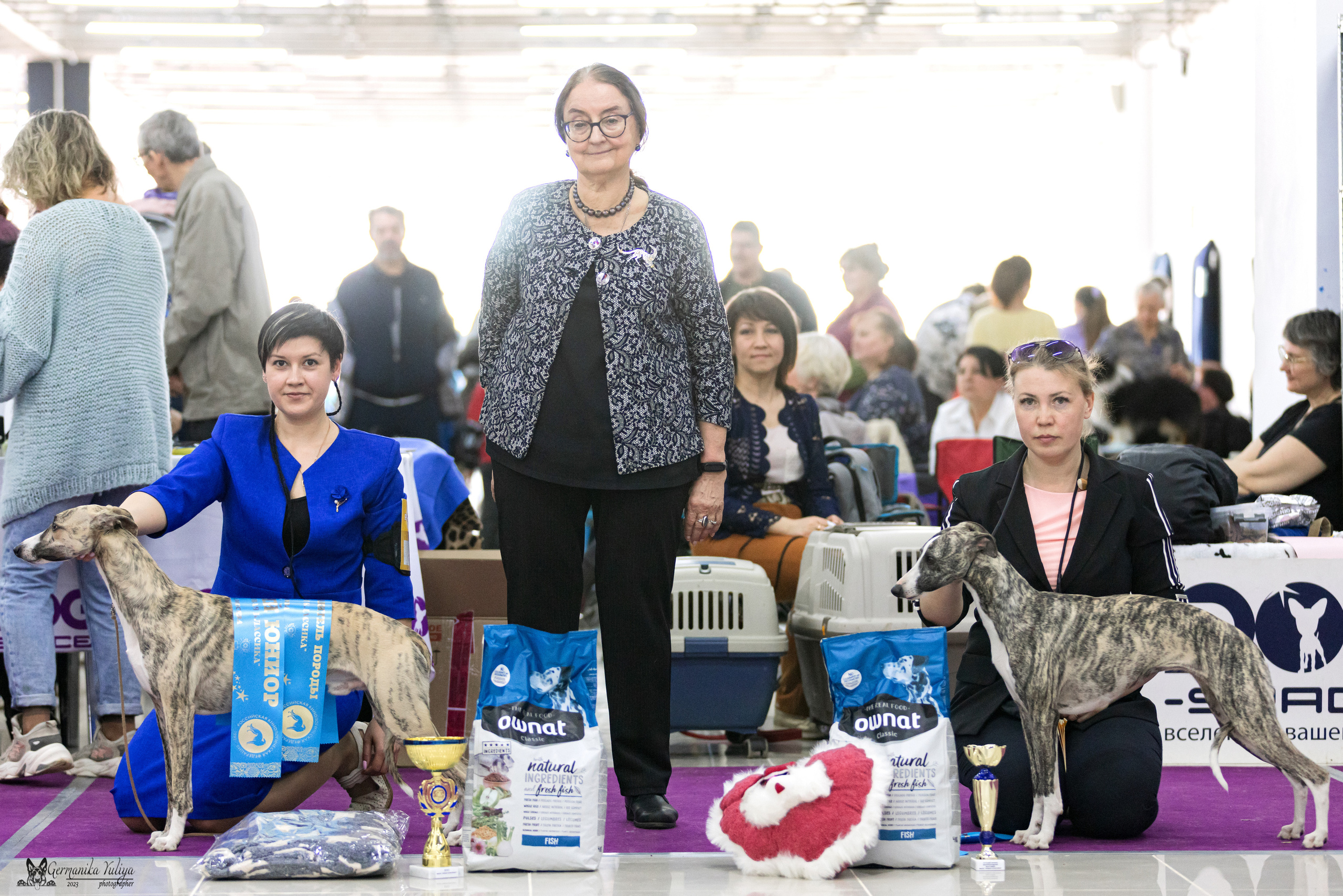 Сфера+МД 8-9.04.2023. Фотограф-анималист Юлия Германика