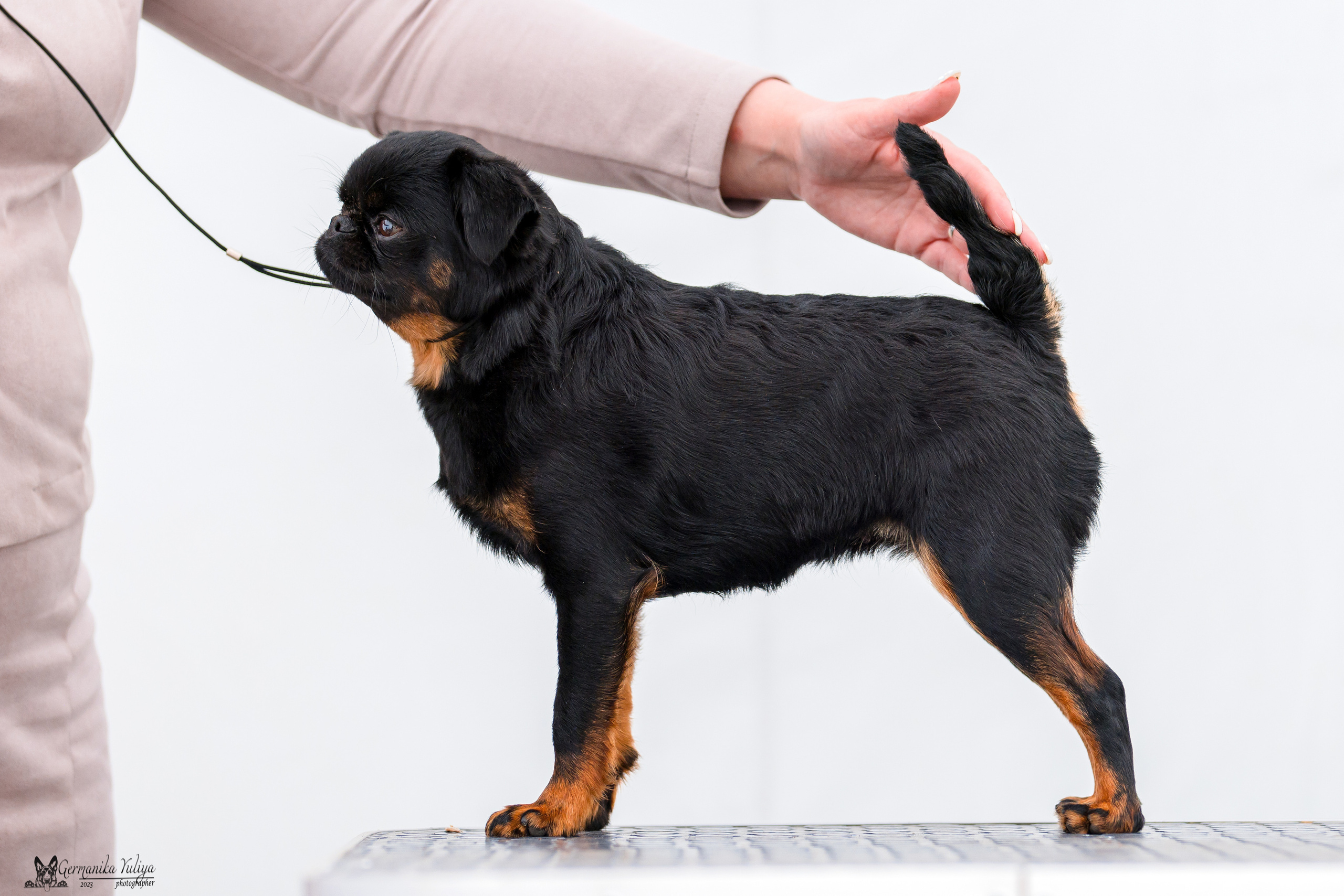 Измайлово 21.05.2023. Фотограф-анималист Юлия Германика