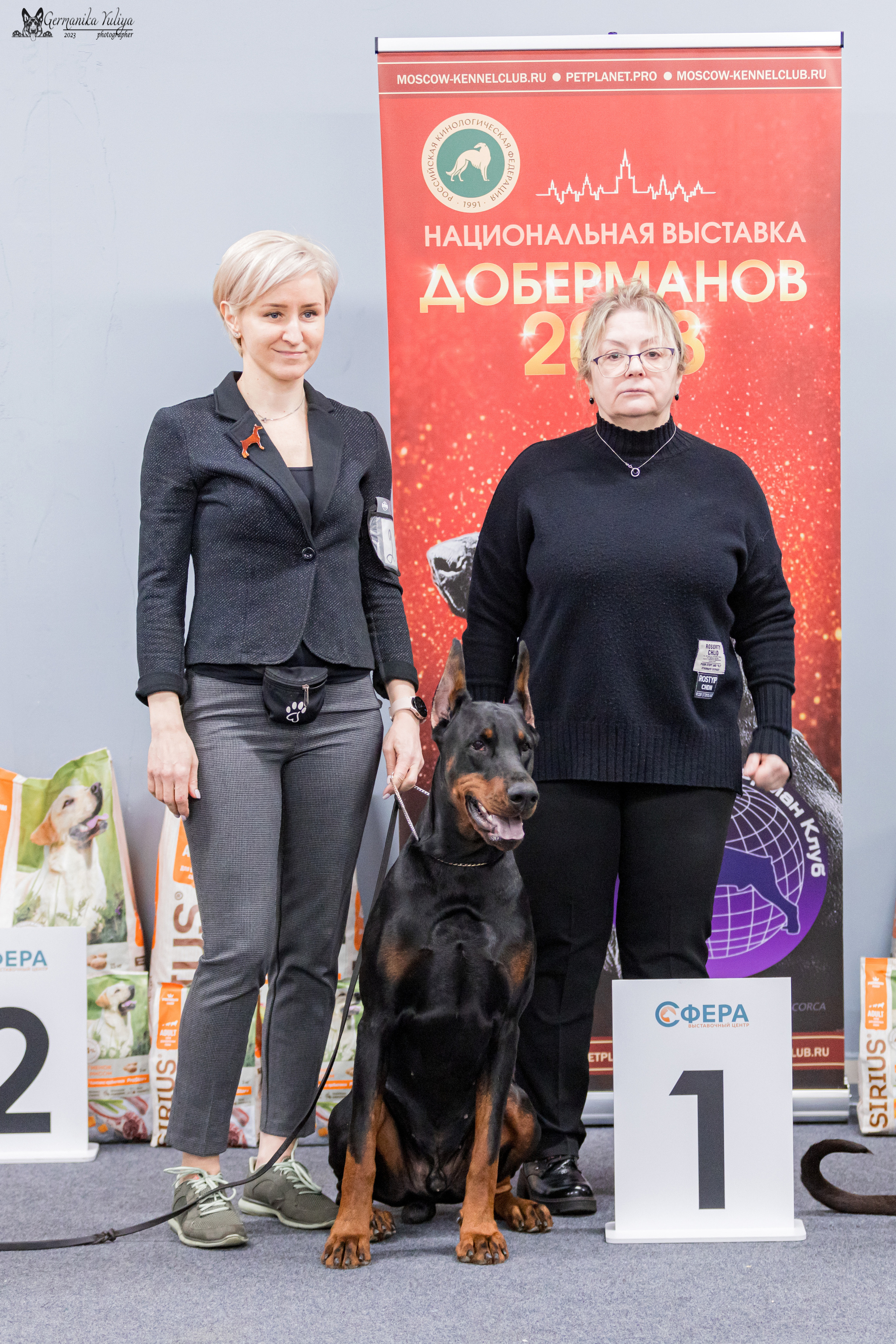 Сфера+доберманы 02.04.2023. Фотограф-анималист Юлия Германика