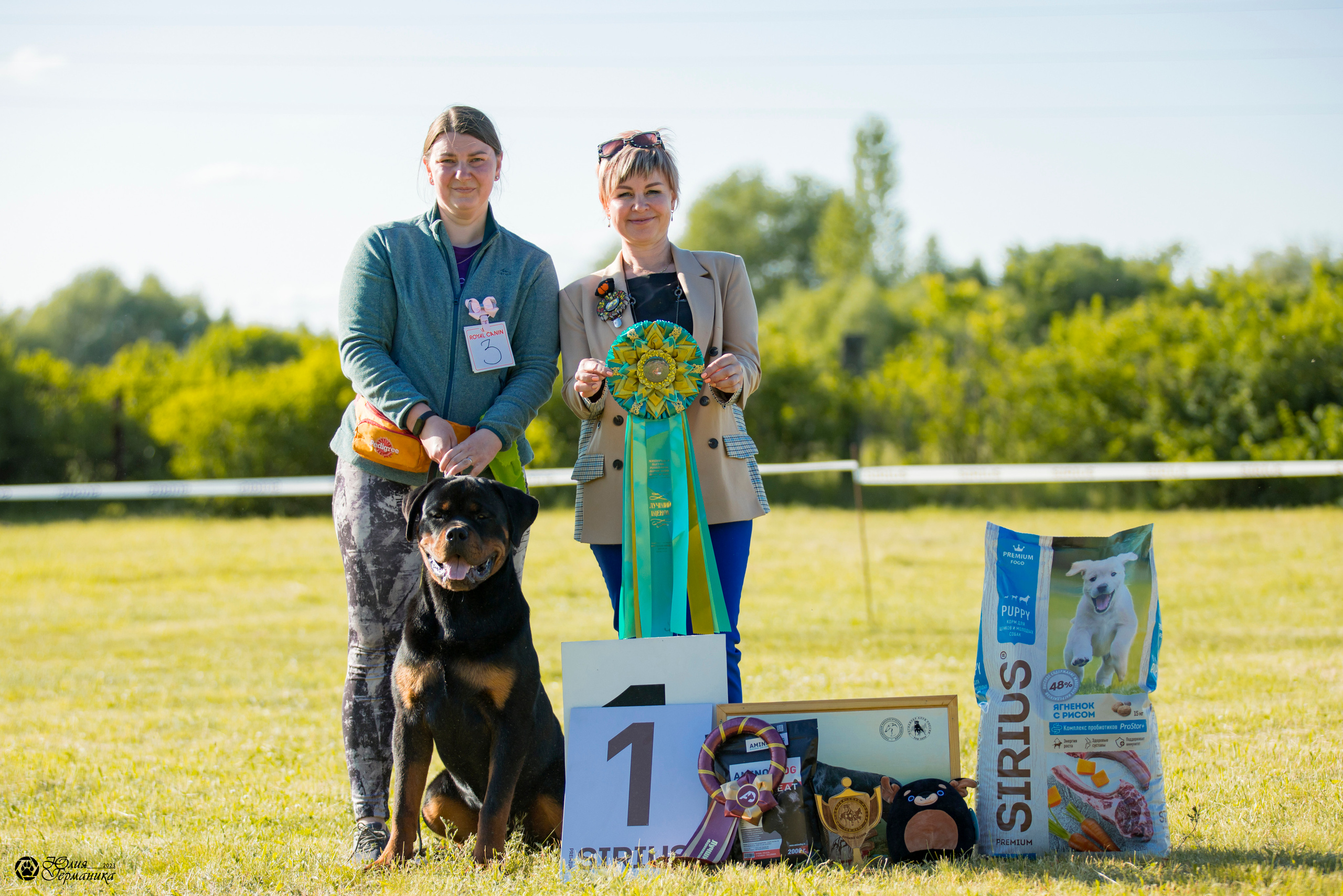 Воронеж 2хмоно ротвейлеров 3-4.06.2023. Фотограф-анималист Юлия Германика