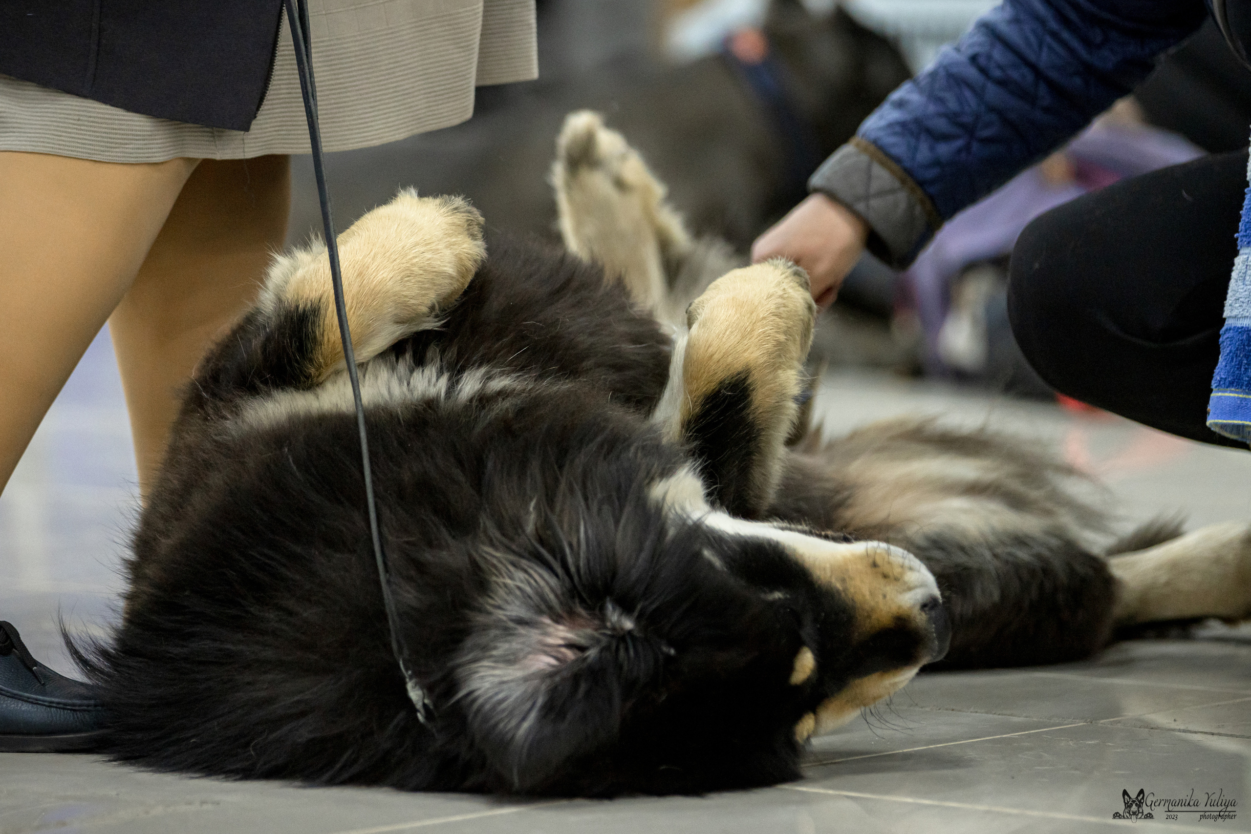 Сфера+МД 8-9.04.2023. Фотограф-анималист Юлия Германика