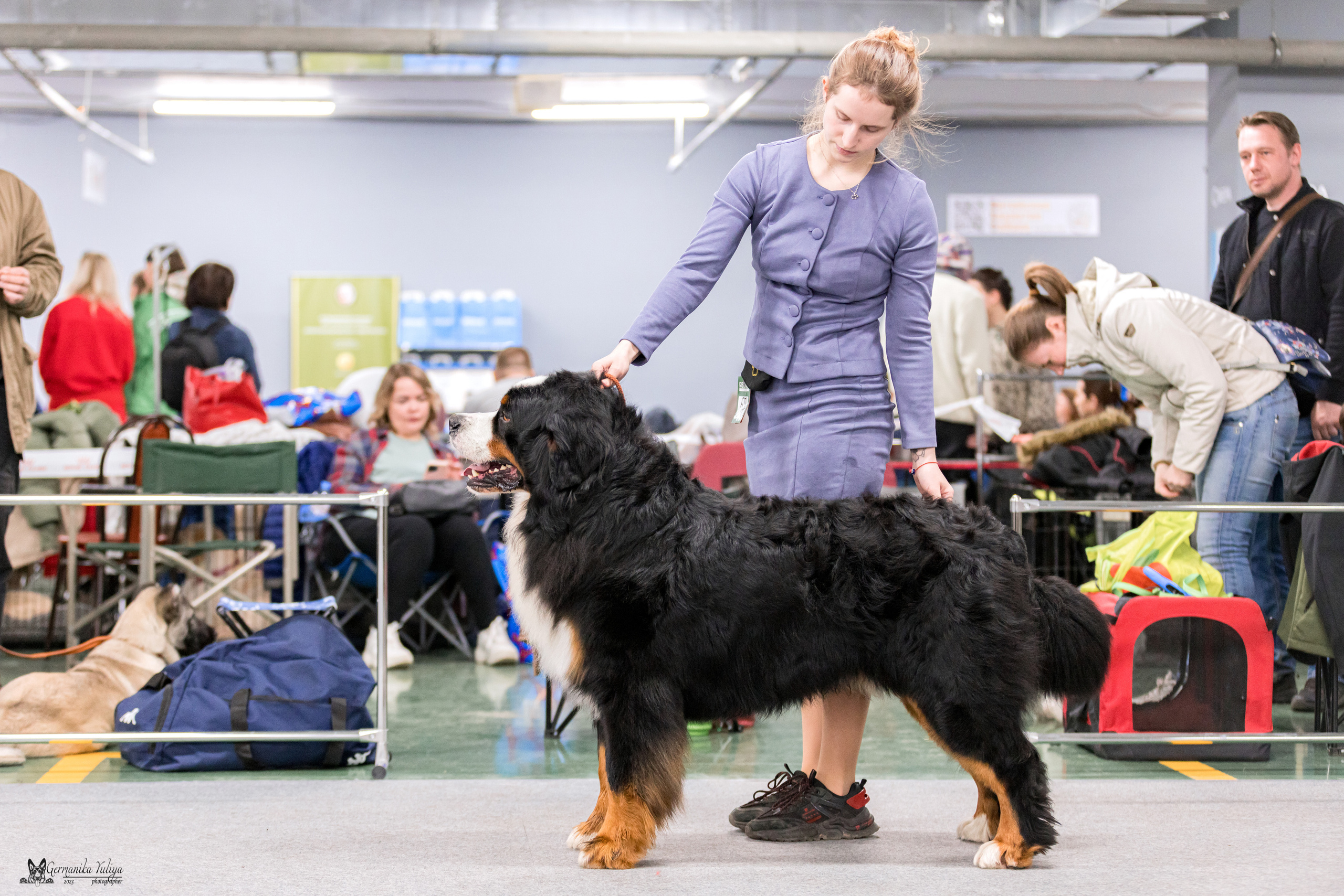 Сфера+МД 8-9.04.2023. Фотограф-анималист Юлия Германика