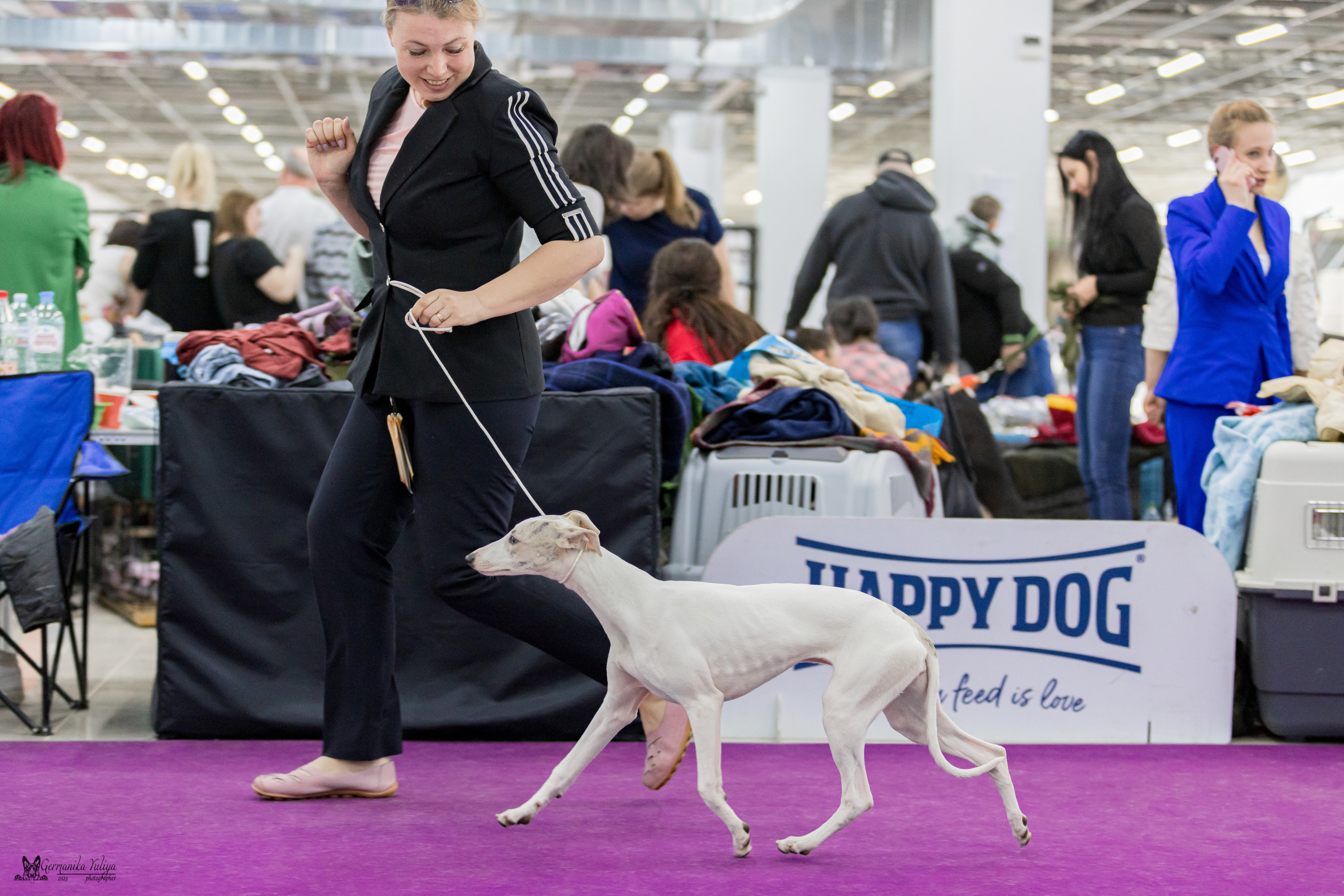 Сфера+МД 8-9.04.2023. Фотограф-анималист Юлия Германика