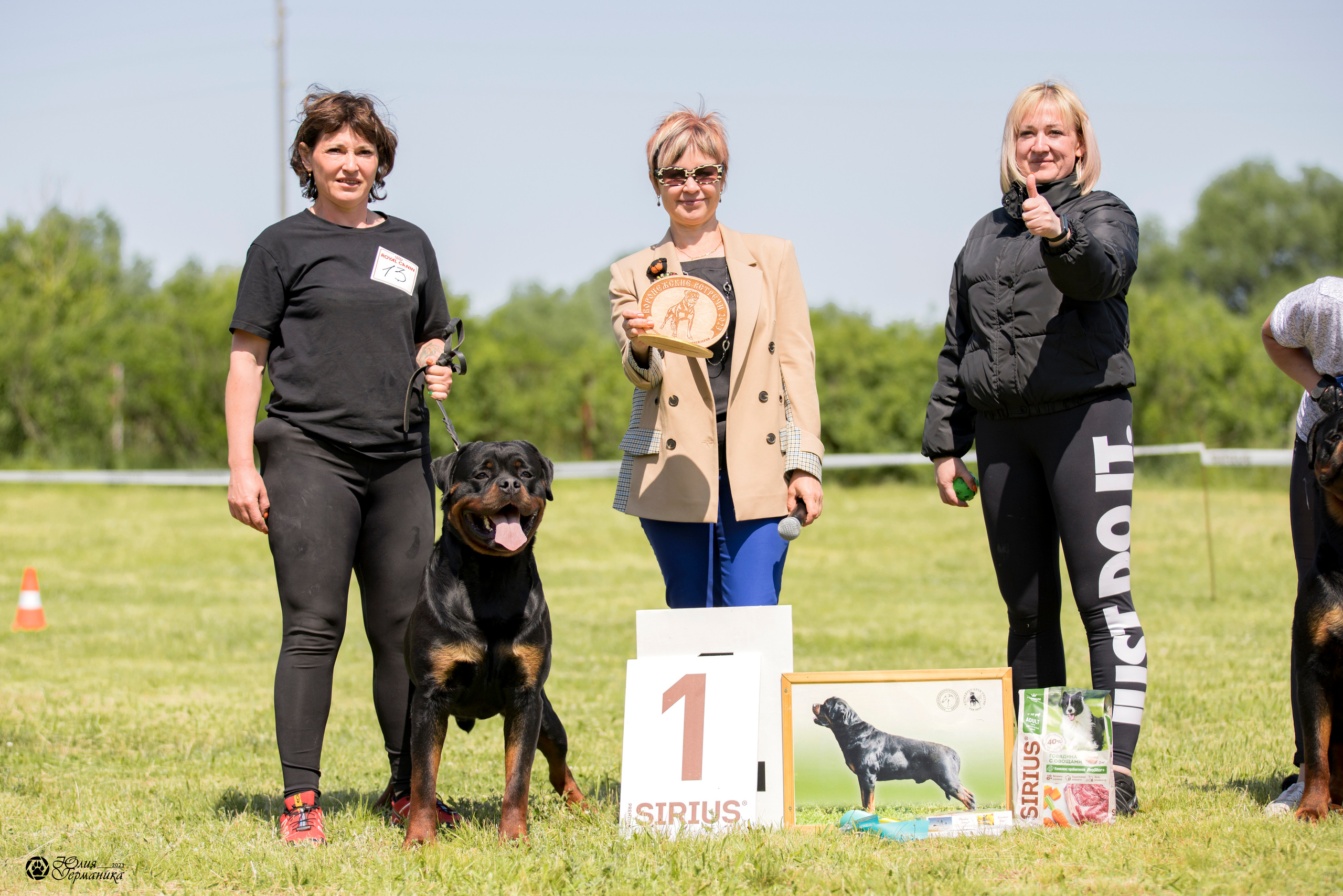 Воронеж 2хмоно ротвейлеров 3-4.06.2023. Фотограф-анималист Юлия Германика
