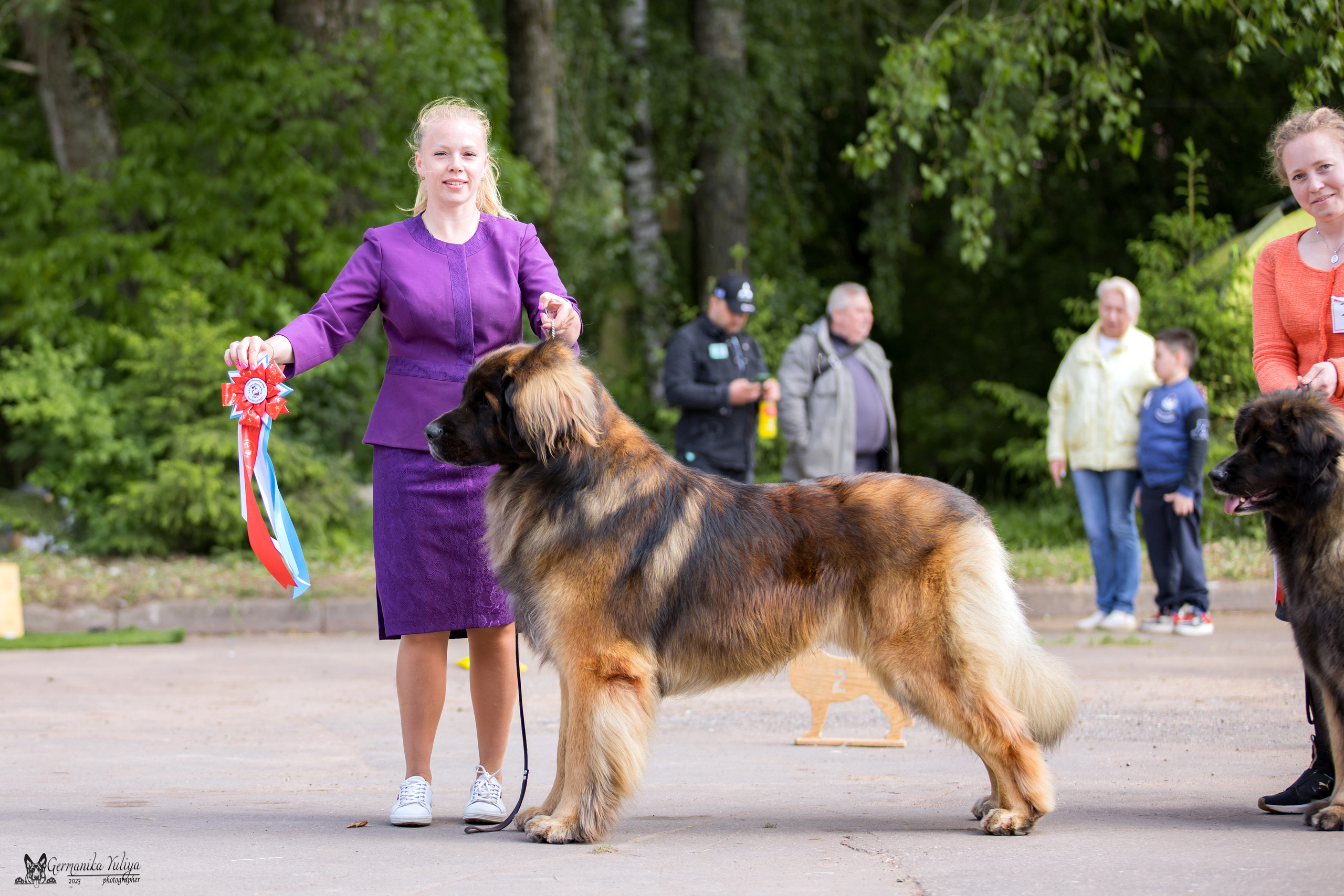Националка Леонбергеров 28.05.2023. Фотограф-анималист Юлия Германика