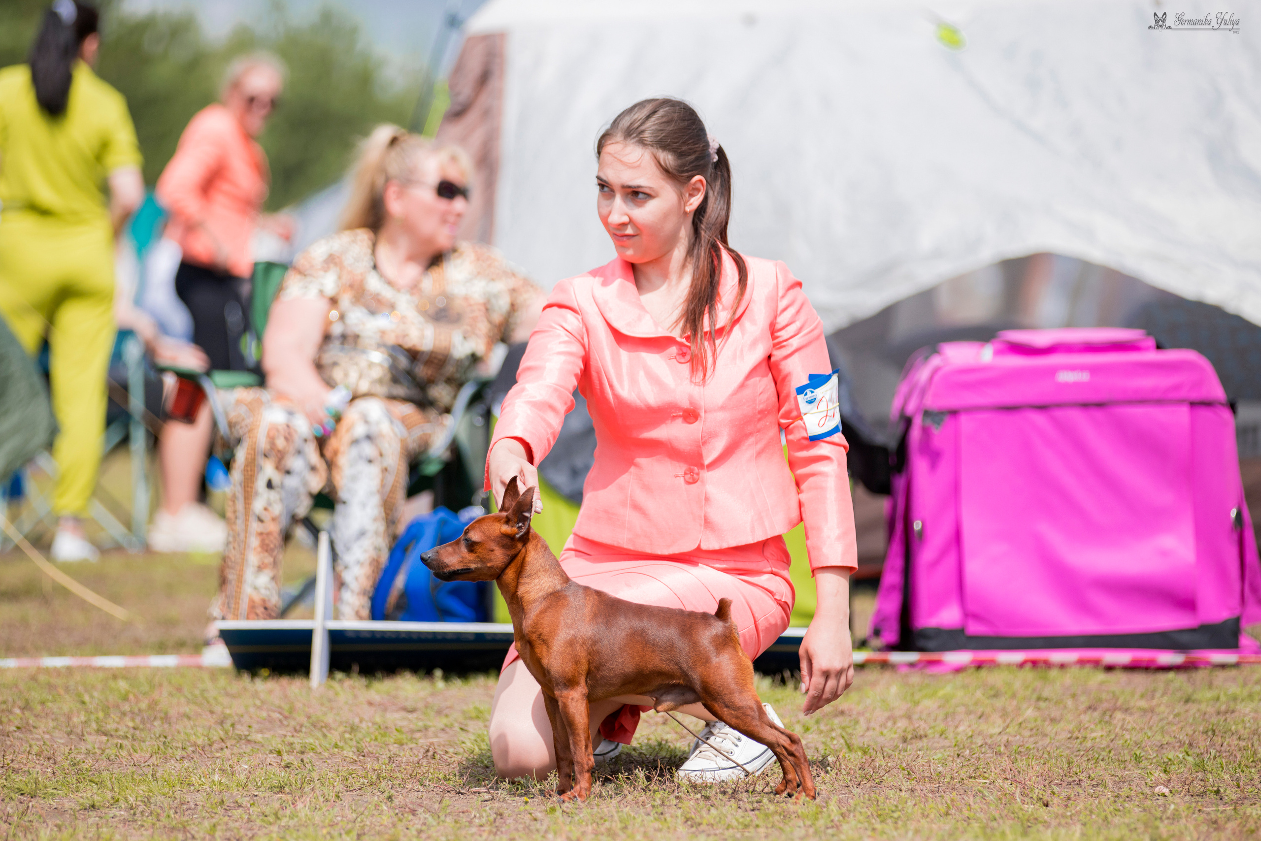 Владимир 1-2.07.2023. Фотограф-анималист Юлия Германика