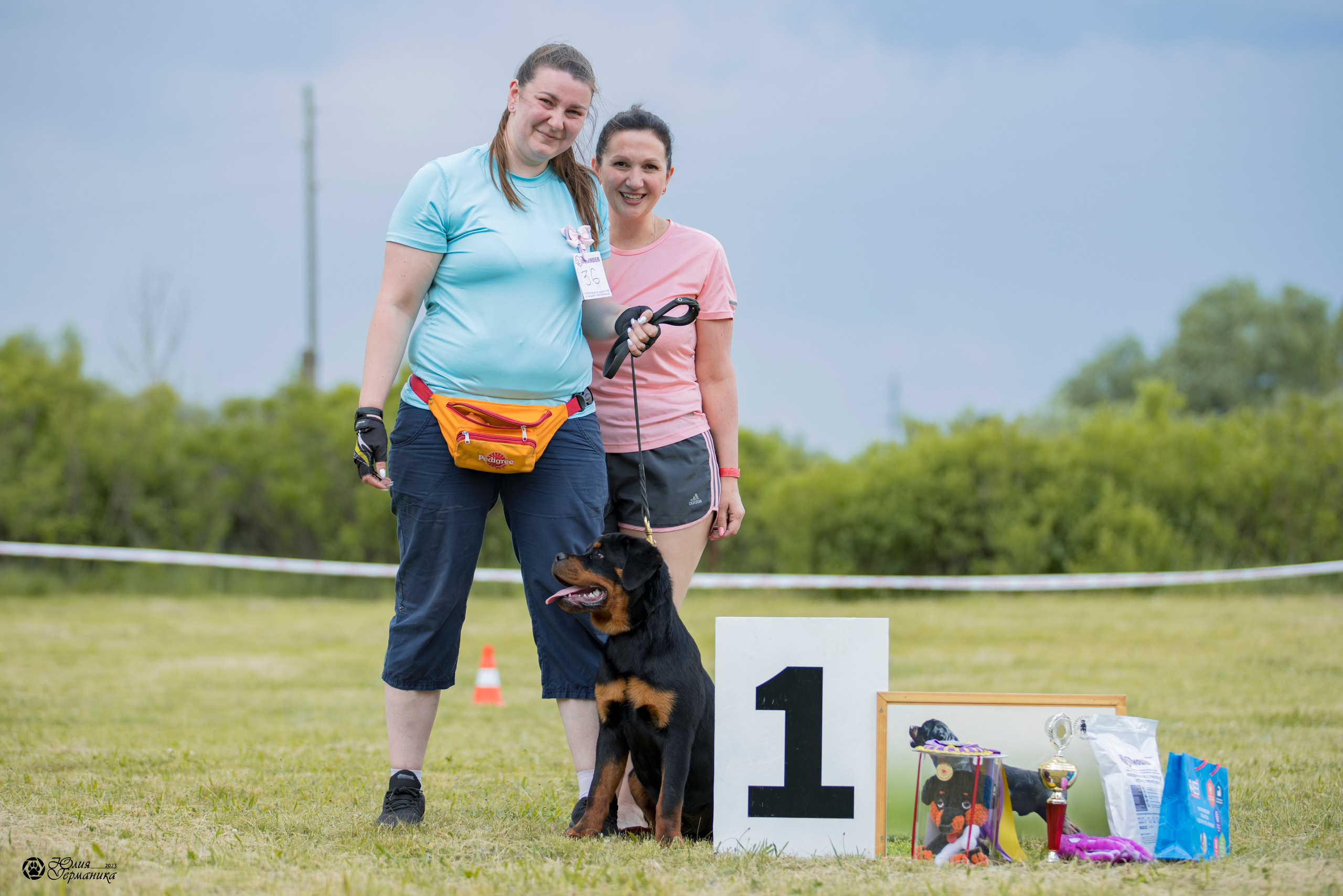 Воронеж 2хмоно ротвейлеров 3-4.06.2023. Фотограф-анималист Юлия Германика