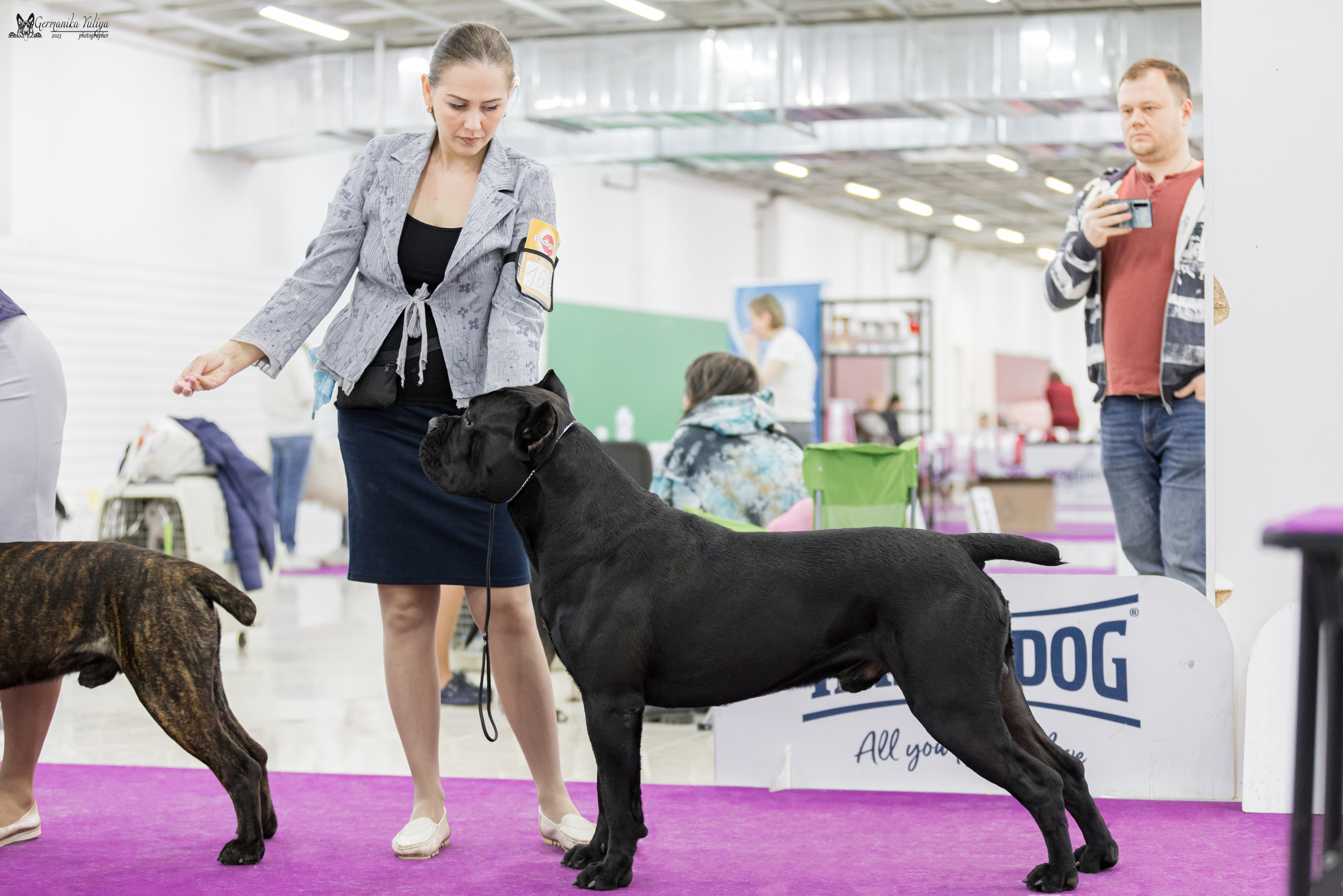 Сфера+МД 8-9.04.2023. Фотограф-анималист Юлия Германика