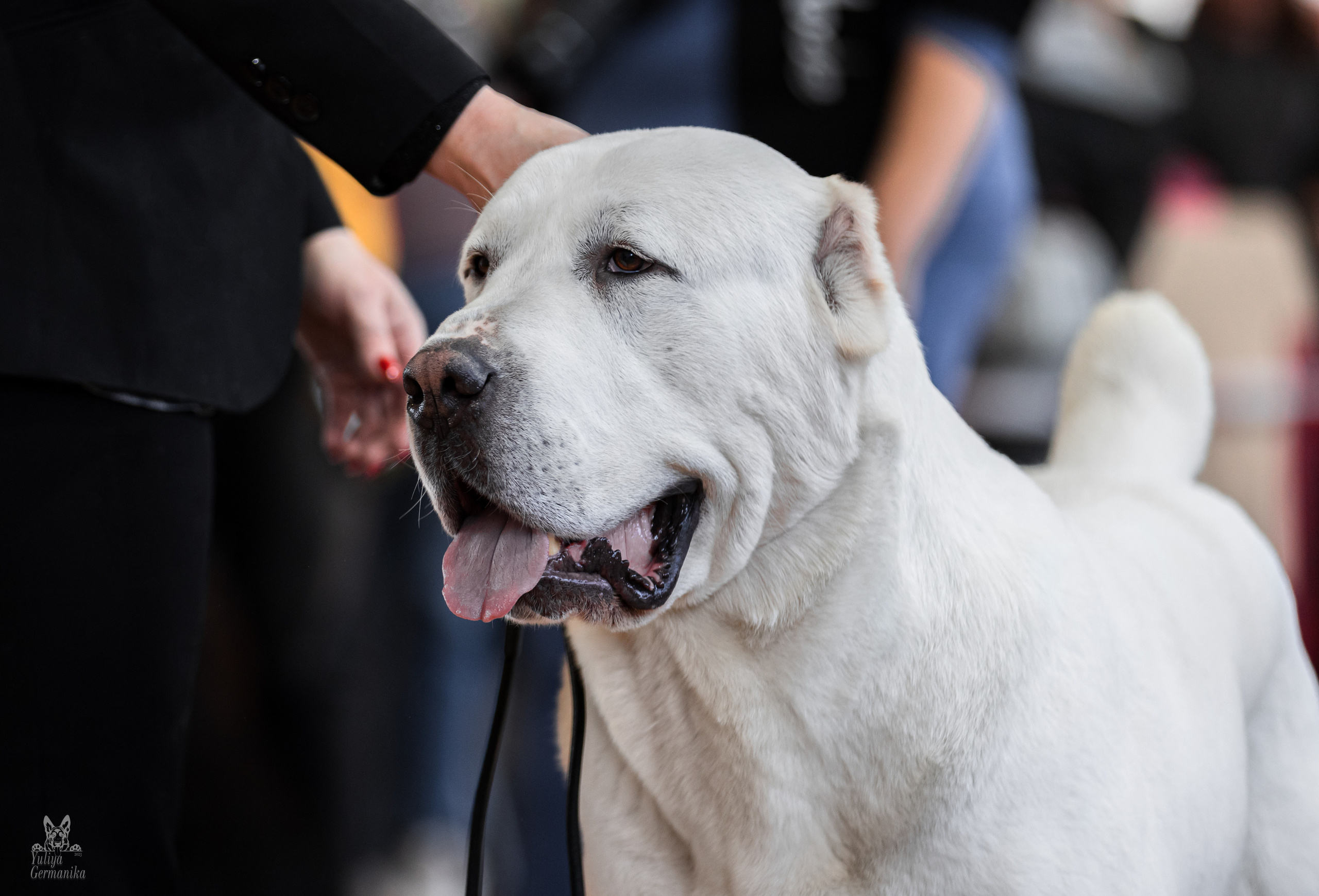 Тверь 01.04.2023