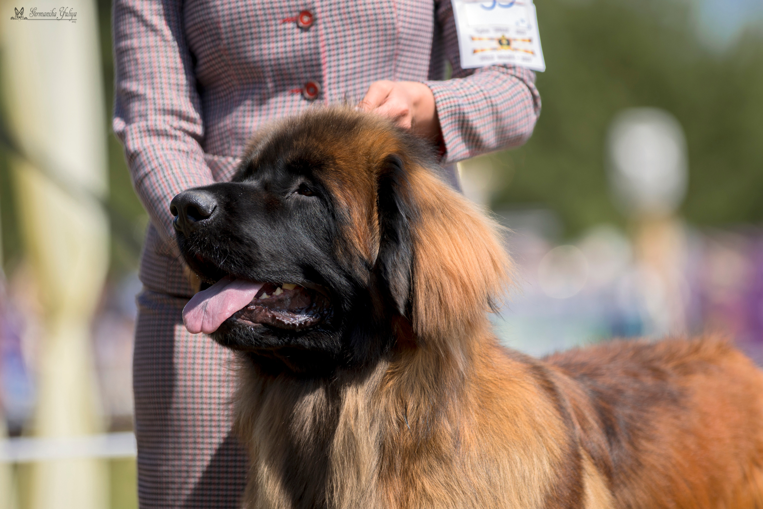 Волжанка 8.07.2023. Фотограф-анималист Юлия Германика