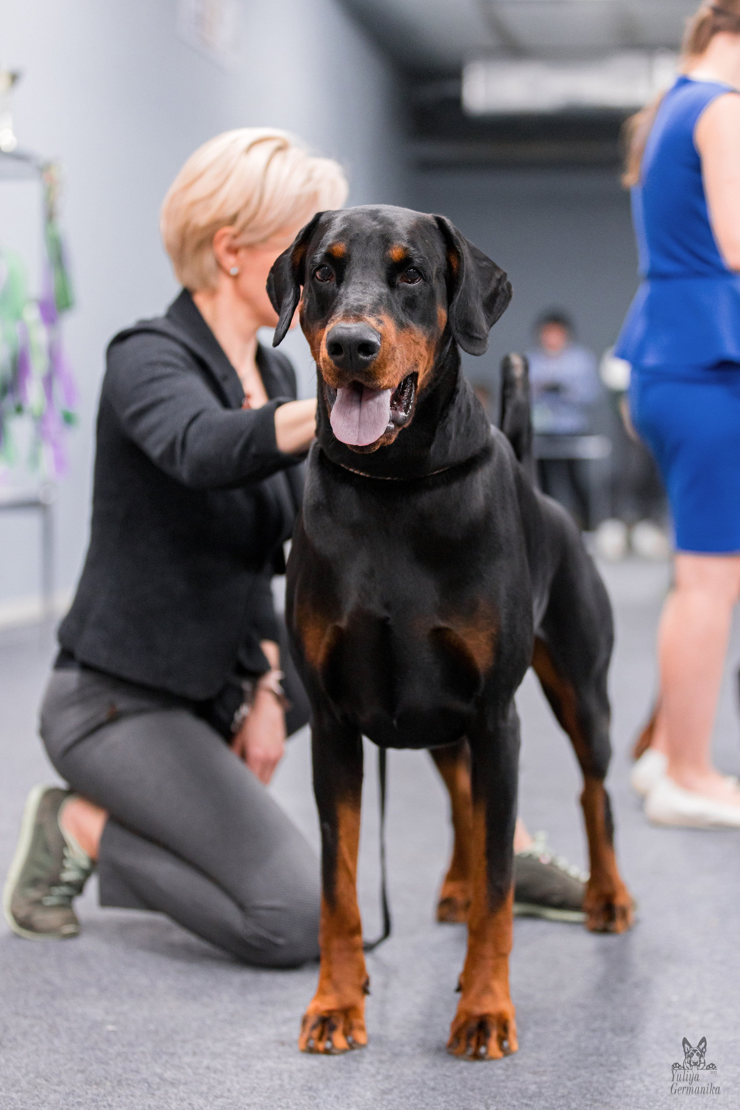 Сфера+доберманы 02.04.2023. Фотограф-анималист Юлия Германика