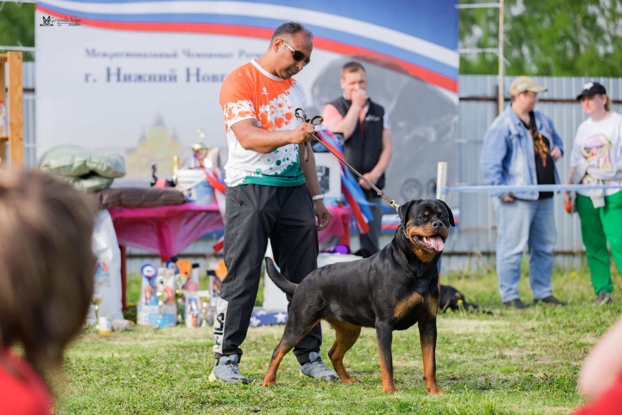 Нижний Новгород моно ротвейлеров 13.05.2023. Фотограф-анималист Юлия Германика