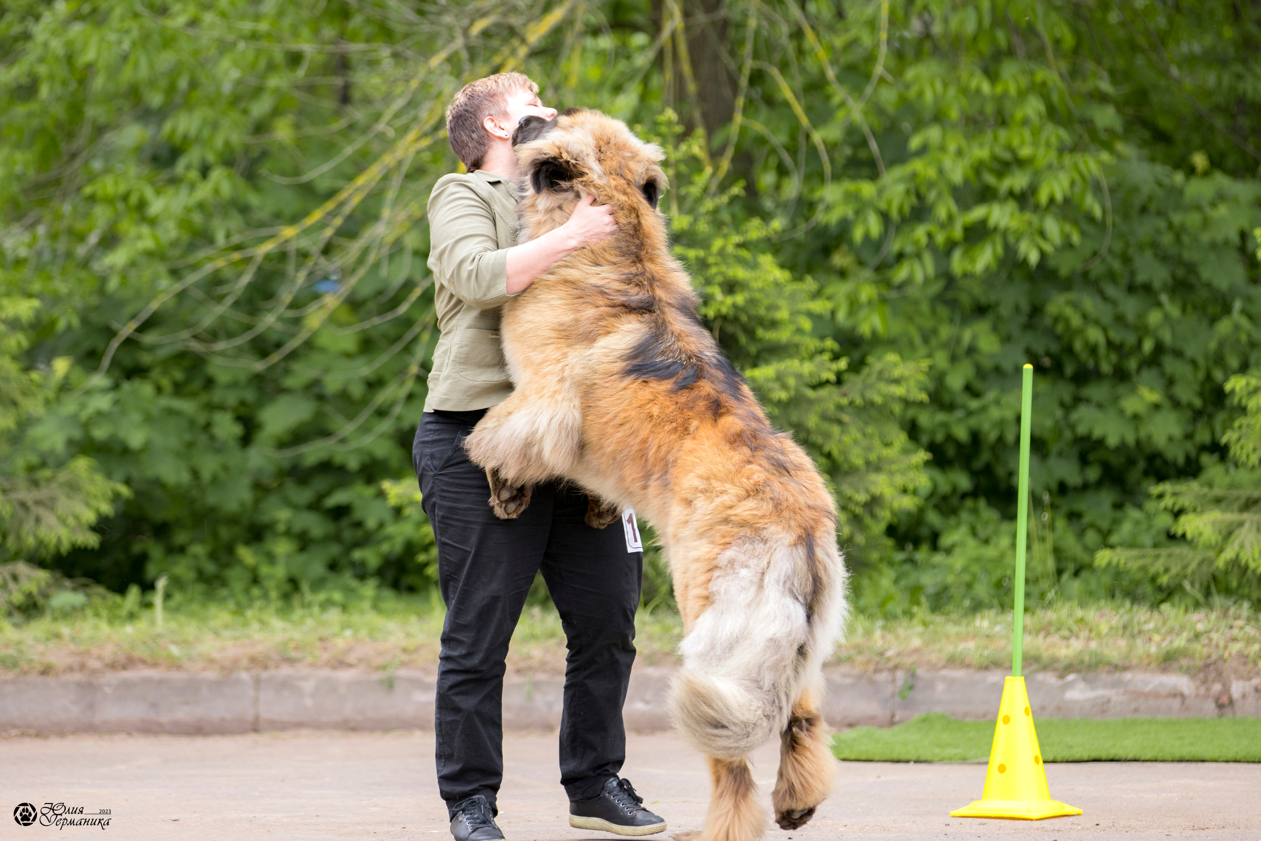 Националка Леонбергеров 28.05.2023. Фотограф-анималист Юлия Германика