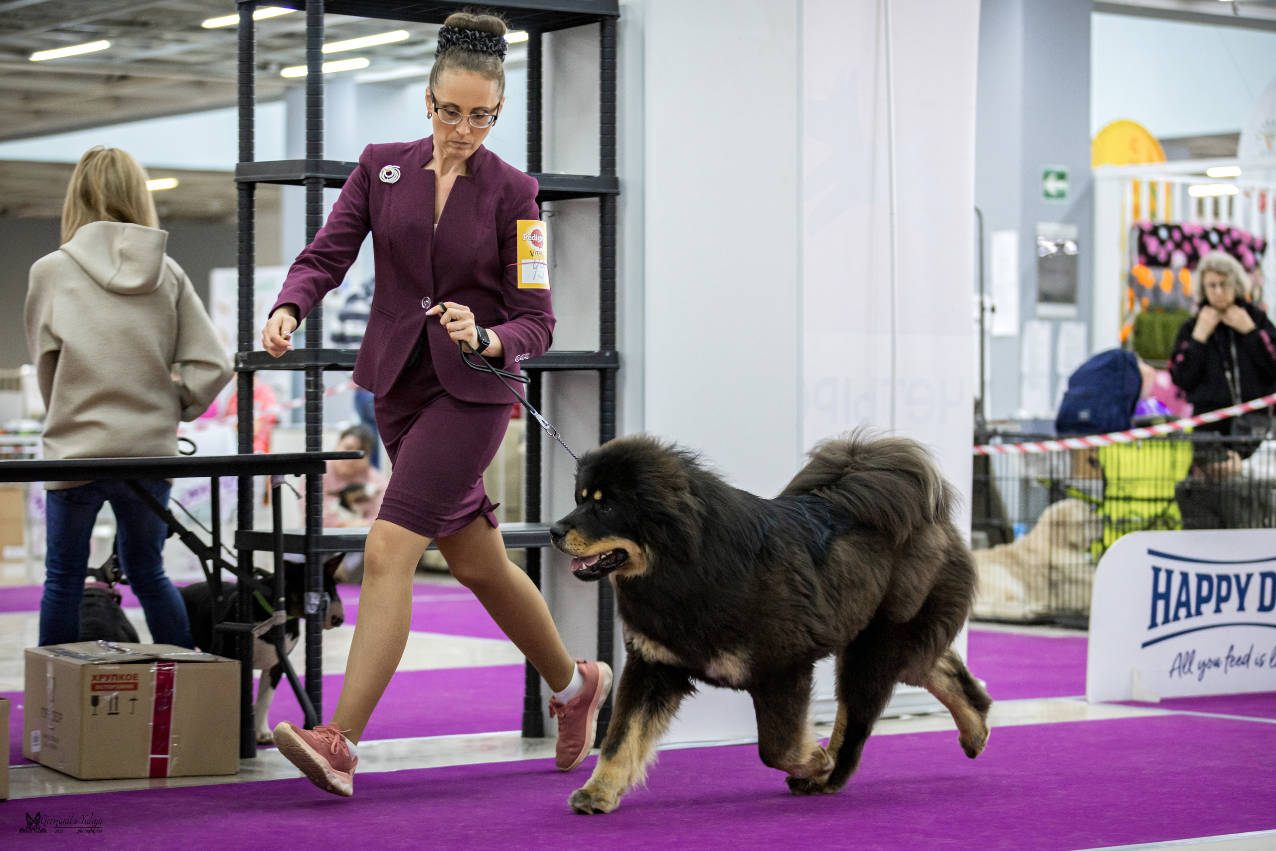 Сфера+МД 8-9.04.2023. Фотограф-анималист Юлия Германика