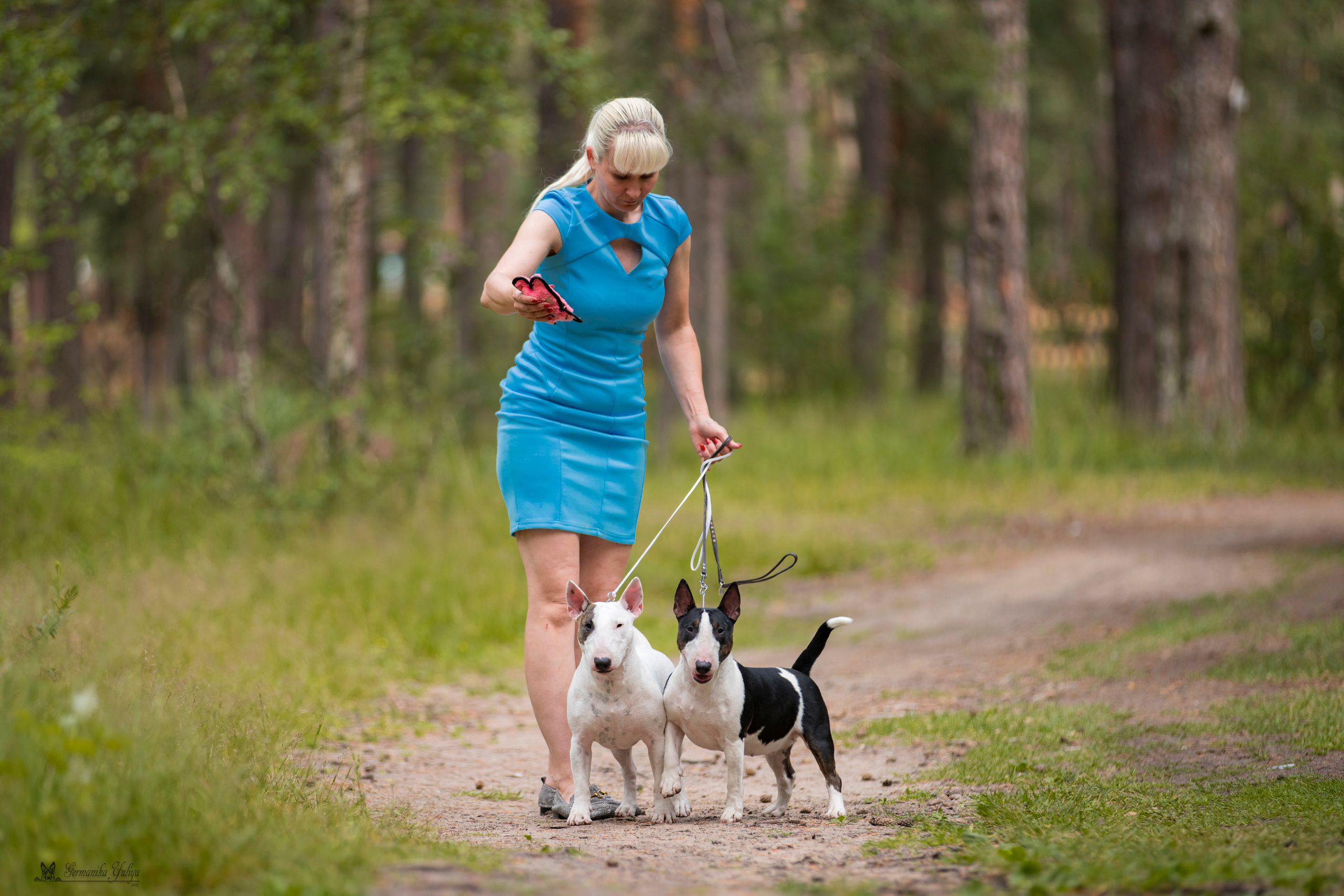Владимир 1-2.07.2023. Фотограф-анималист Юлия Германика