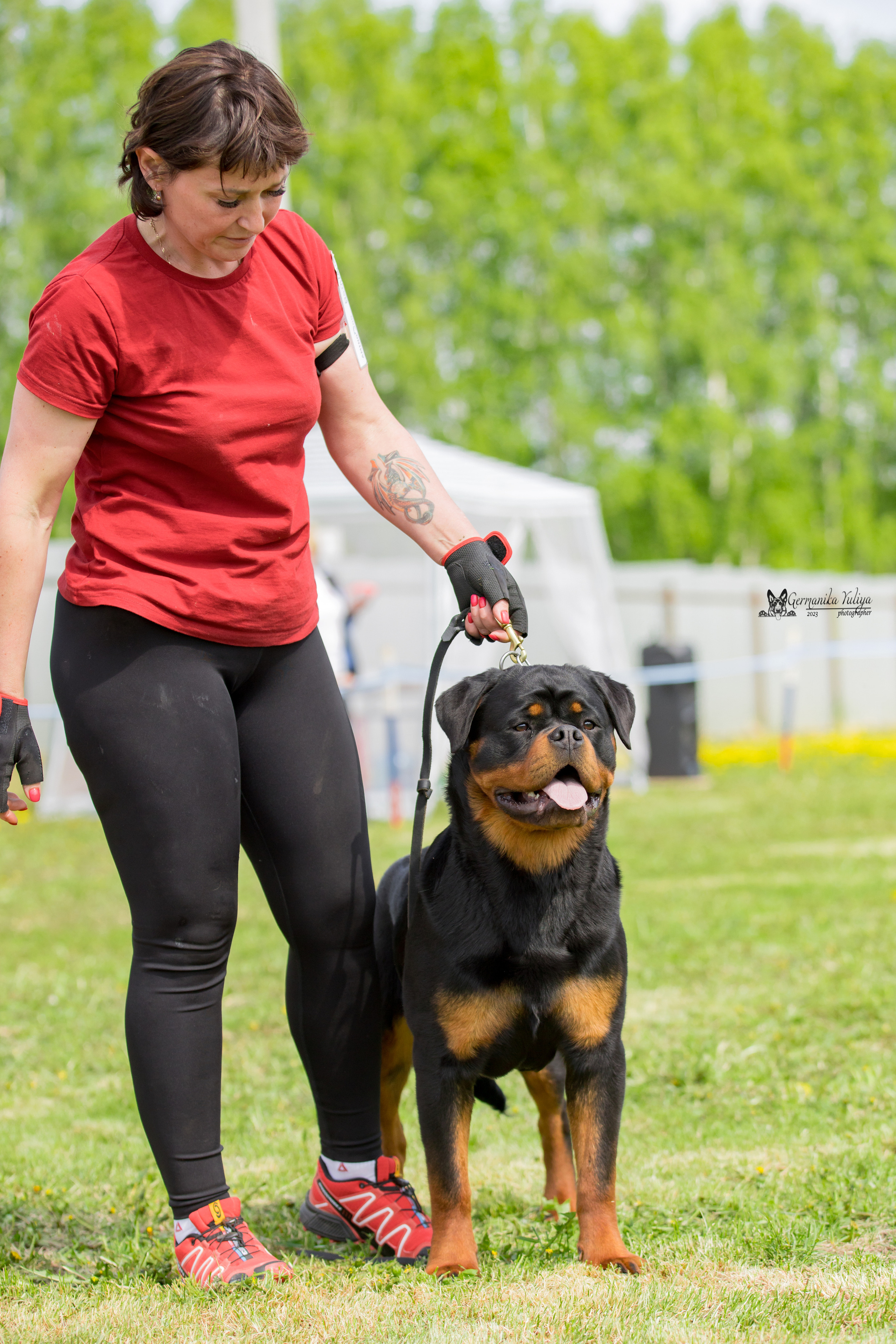 Нижний Новгород моно ротвейлеров 13.05.2023. Фотограф-анималист Юлия Германика