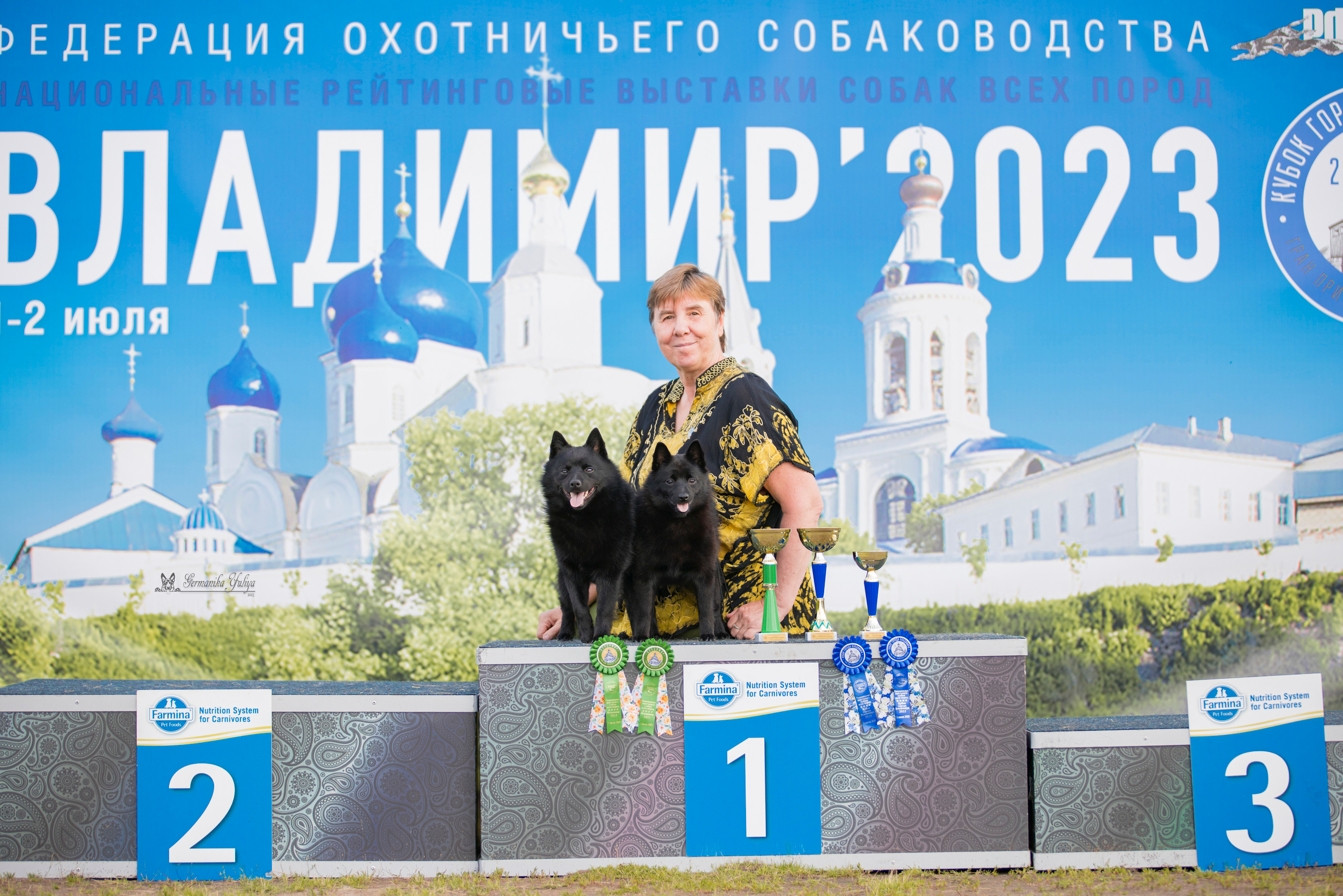 Владимир 1-2.07.2023. Фотограф-анималист Юлия Германика