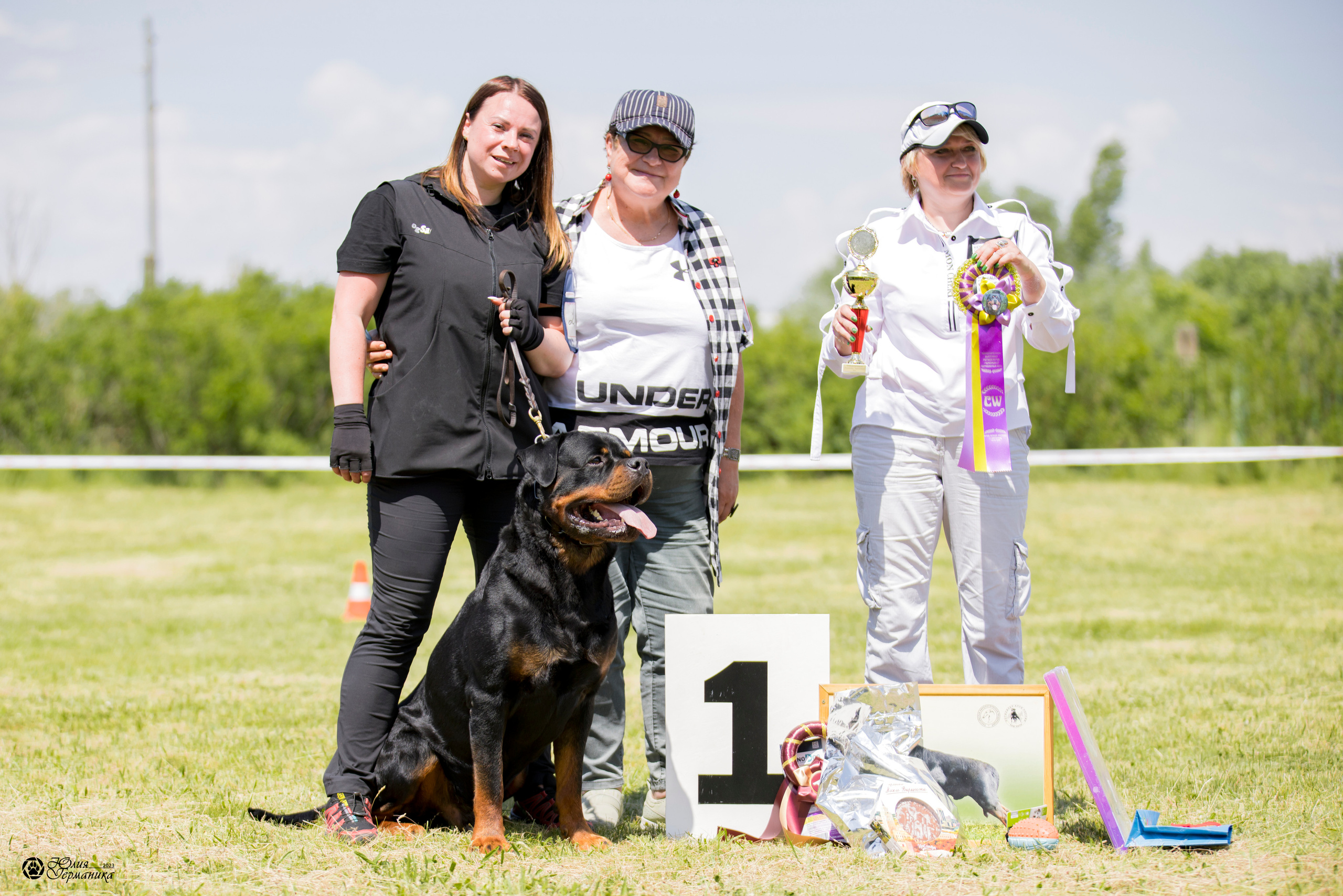 Воронеж 2хмоно ротвейлеров 3-4.06.2023. Фотограф-анималист Юлия Германика