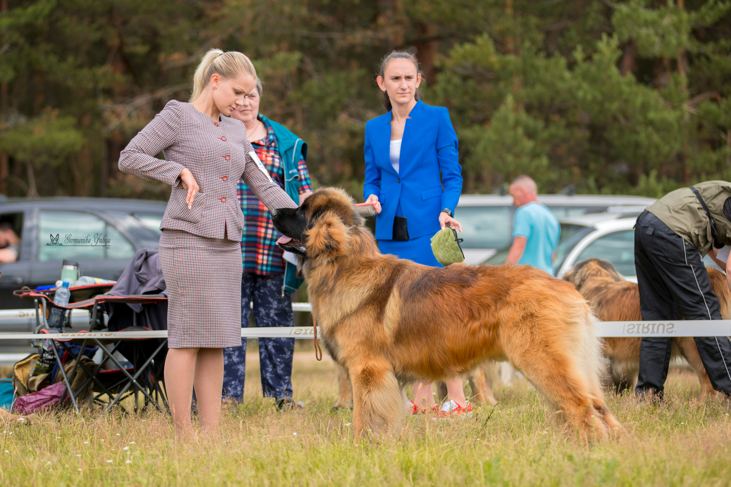 Волжанка 8.07.2023. Фотограф-анималист Юлия Германика