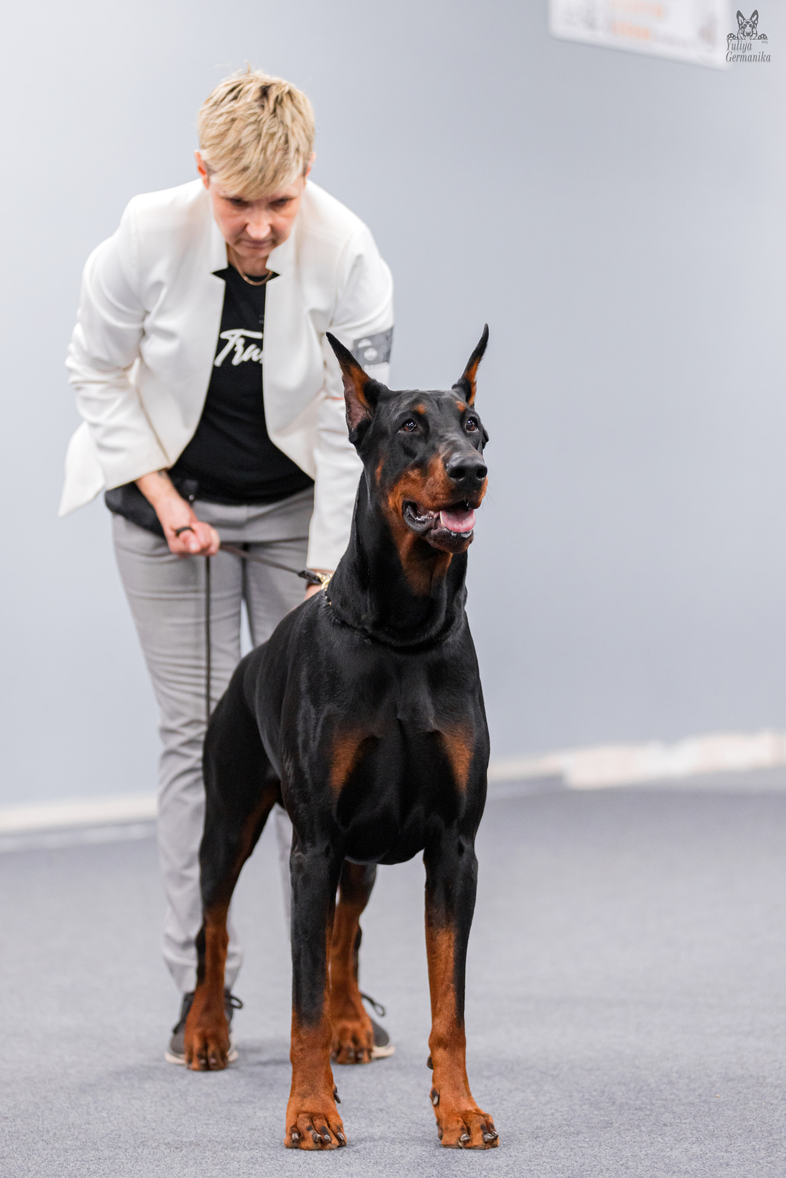 Сфера+доберманы 02.04.2023. Фотограф-анималист Юлия Германика