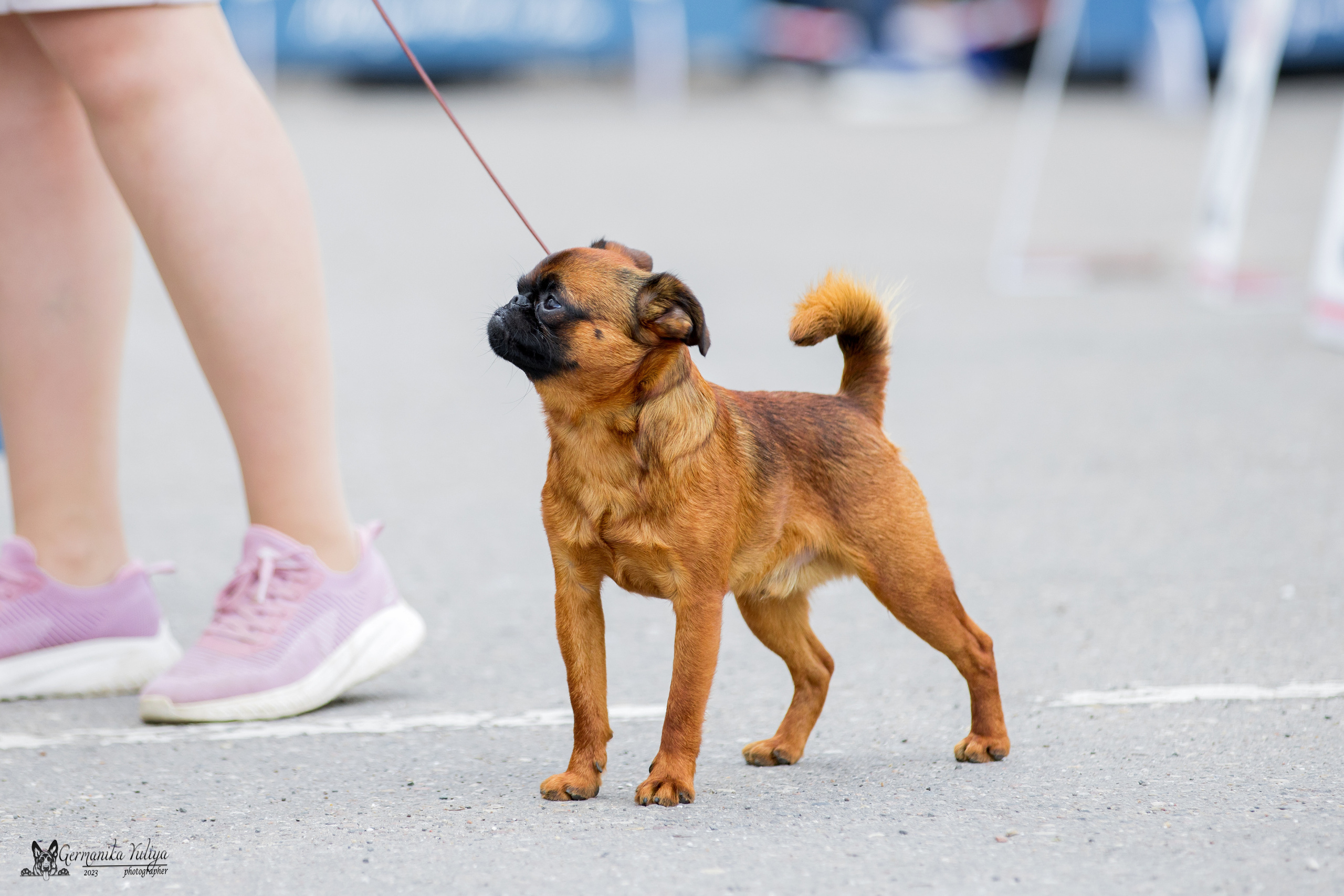 Измайлово 21.05.2023. Фотограф-анималист Юлия Германика