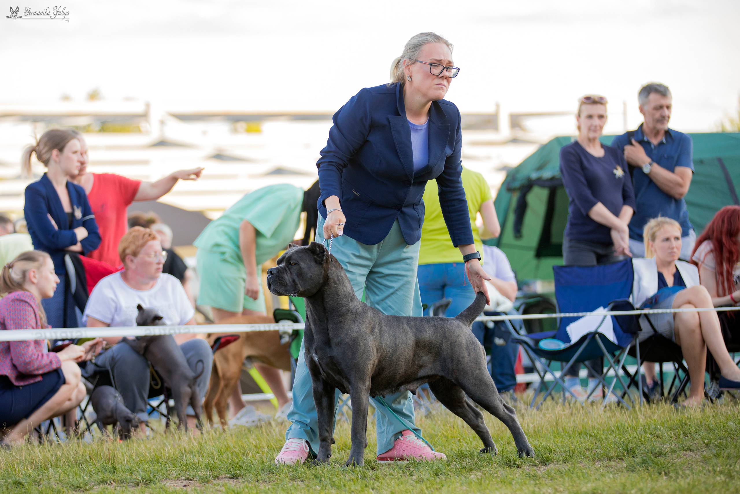 Волжанка 8.07.2023. Фотограф-анималист Юлия Германика