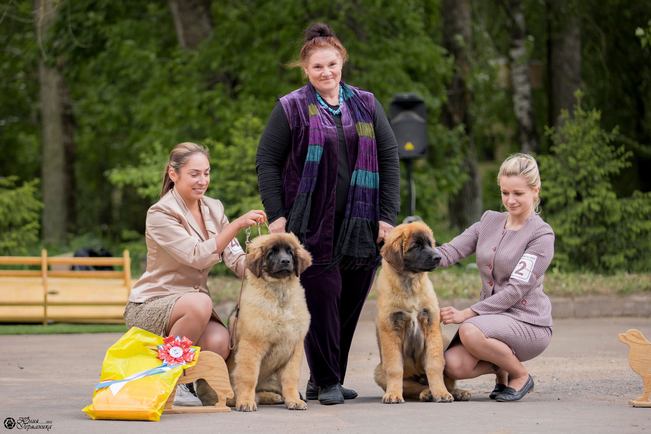 Националка Леонбергеров 28.05.2023. Фотограф-анималист Юлия Германика