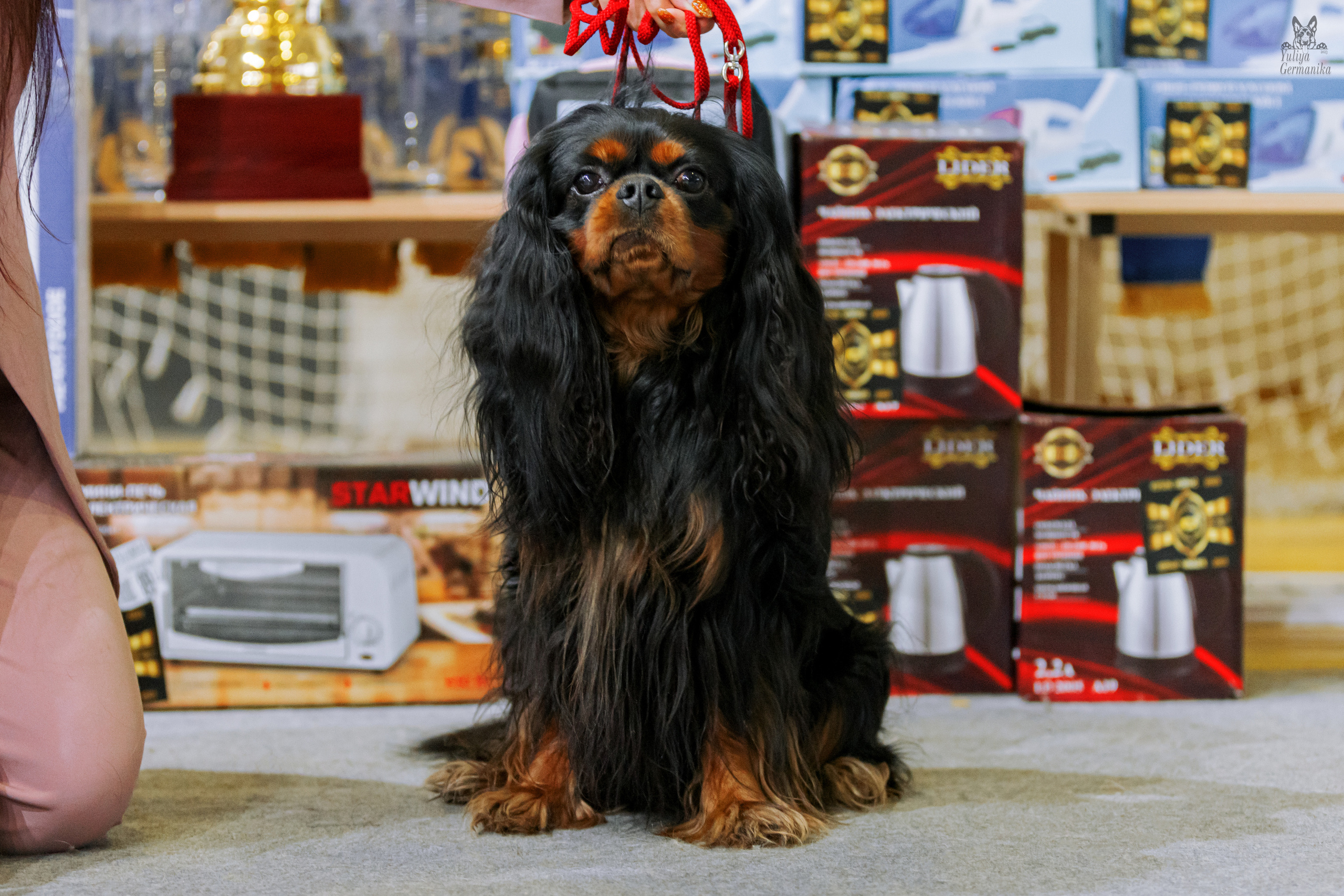 Тверь 01.04.2023. Фотограф-анималист Юлия Германика