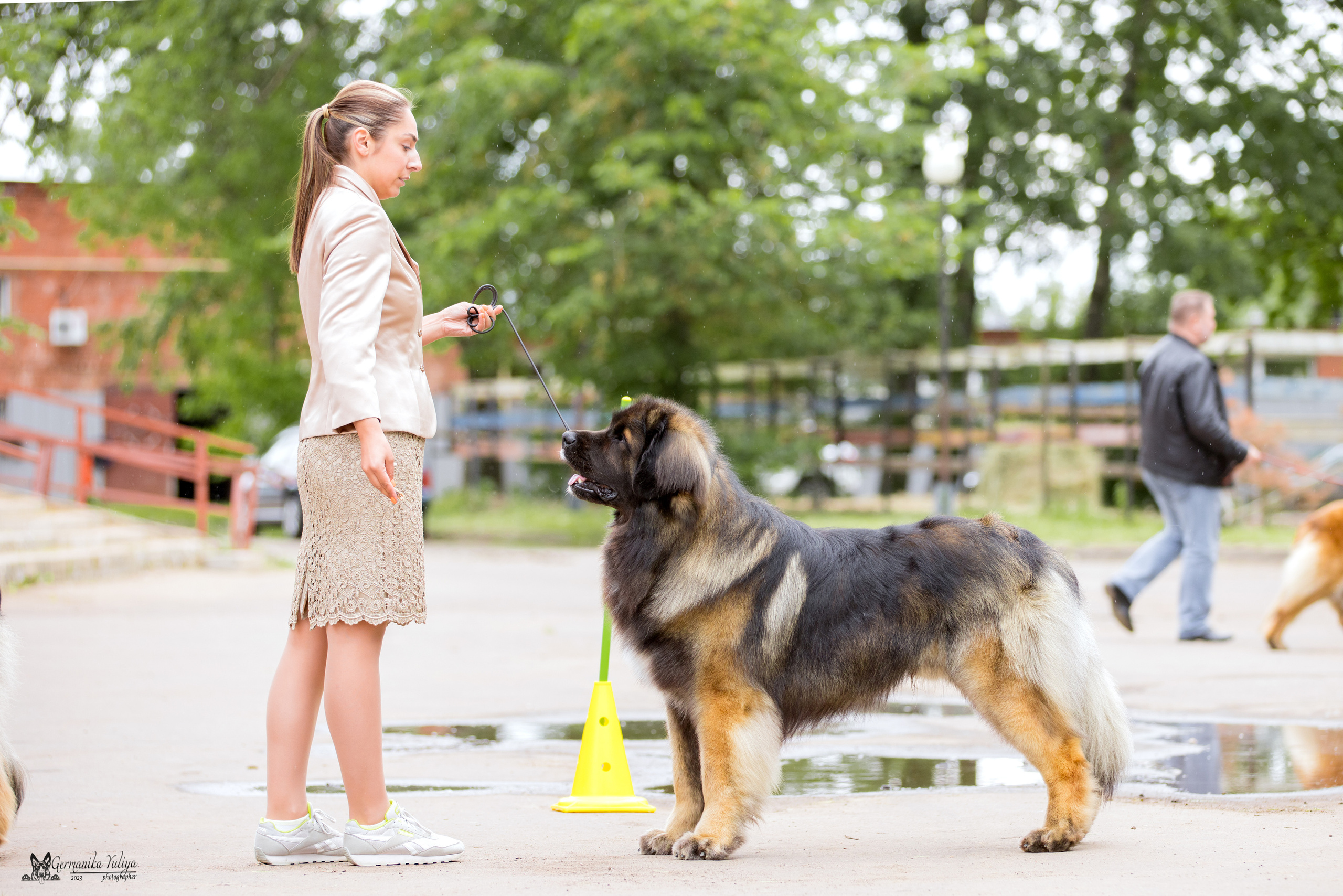Националка Леонбергеров 28.05.2023. Фотограф-анималист Юлия Германика