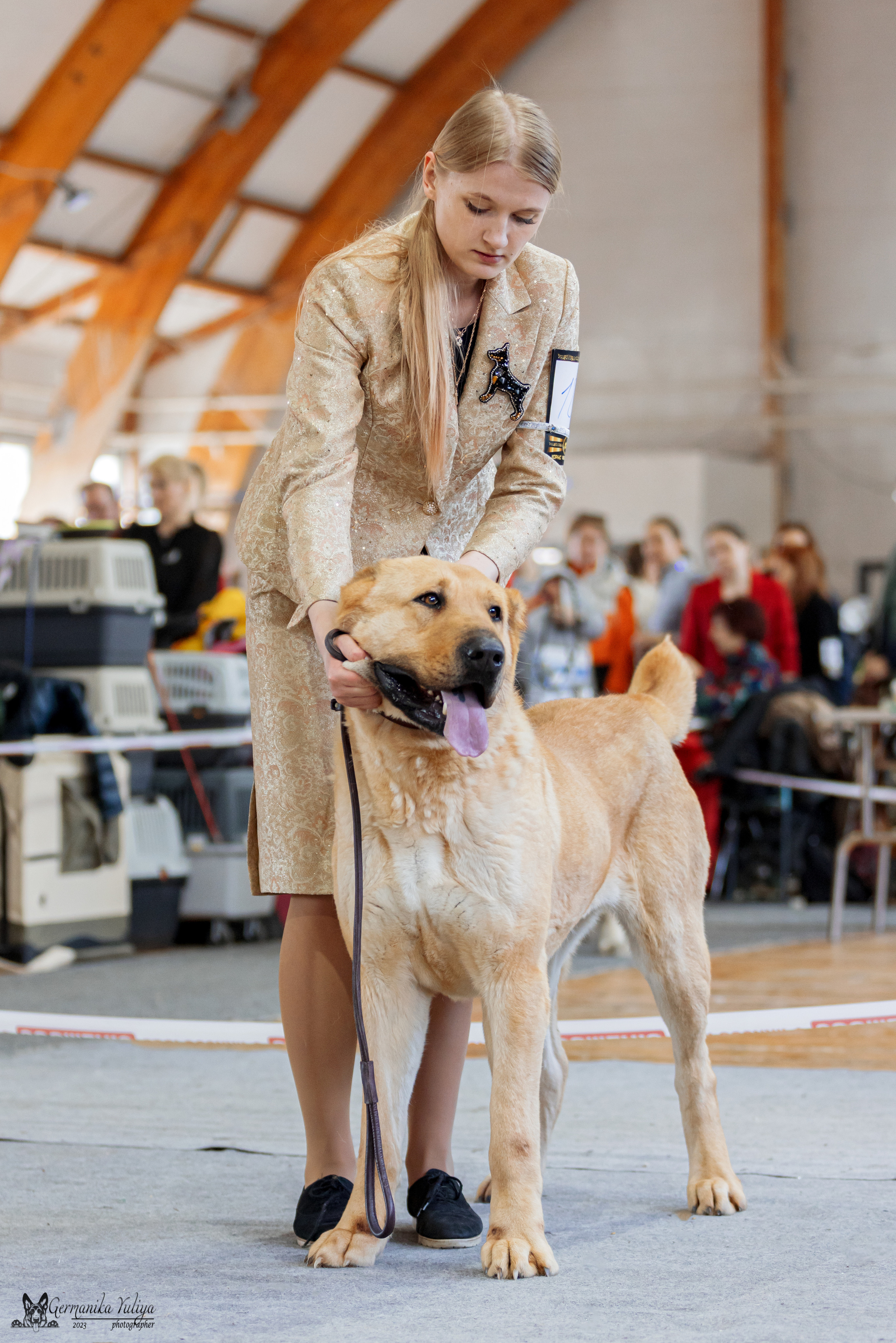 Тверь 01.04.2023. Фотограф-анималист Юлия Германика