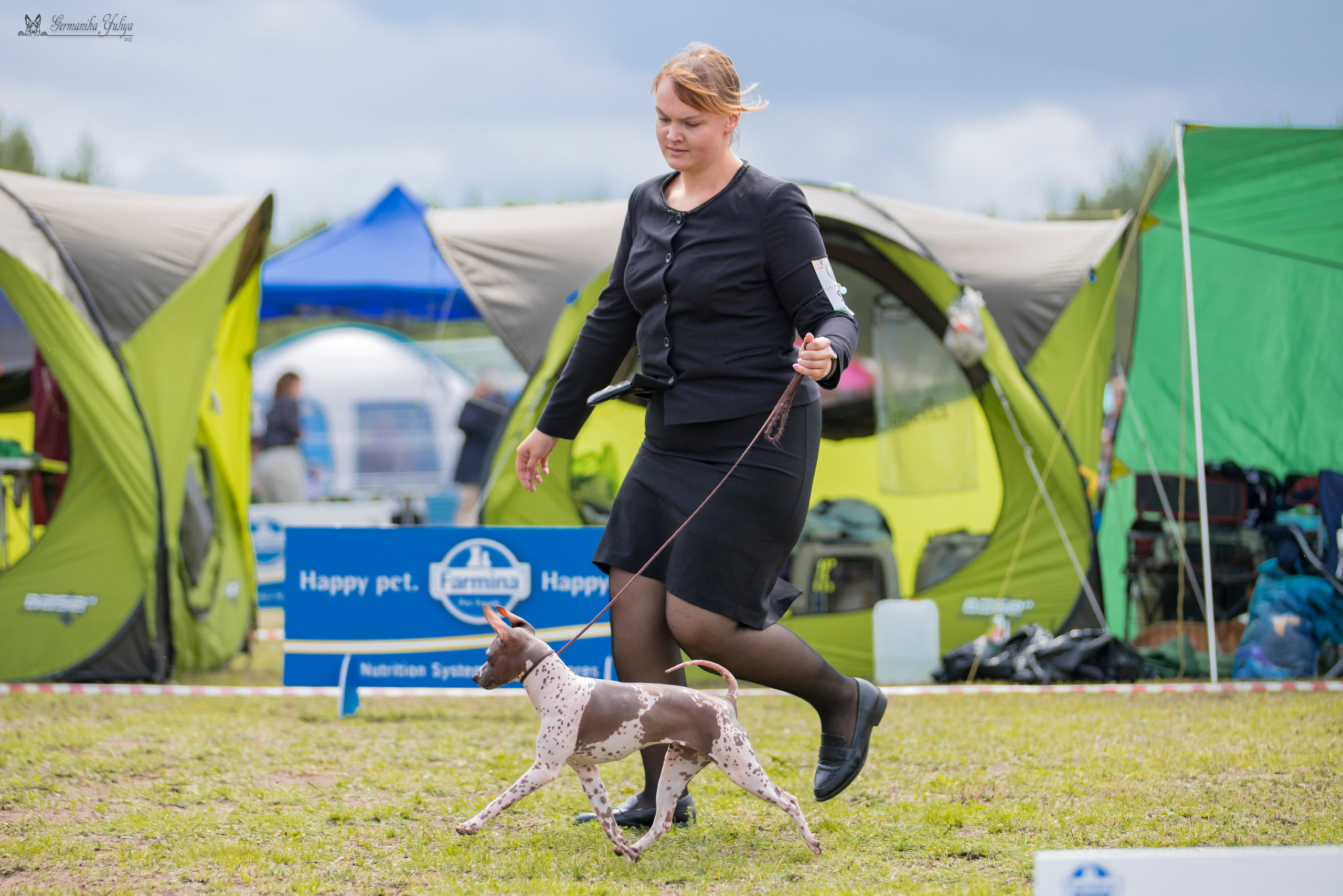 Владимир 1-2.07.2023. Фотограф-анималист Юлия Германика