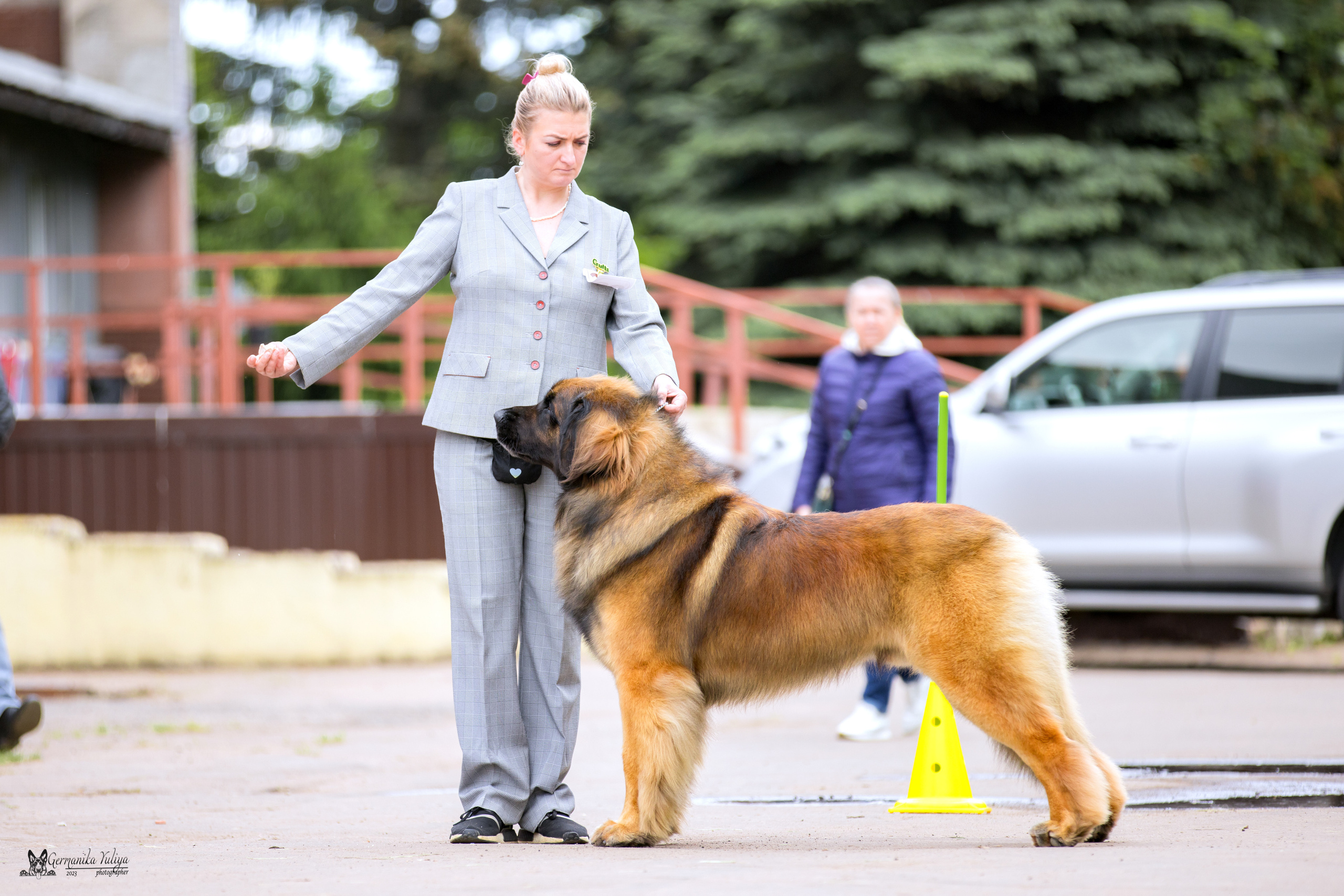 Националка Леонбергеров 28.05.2023. Фотограф-анималист Юлия Германика
