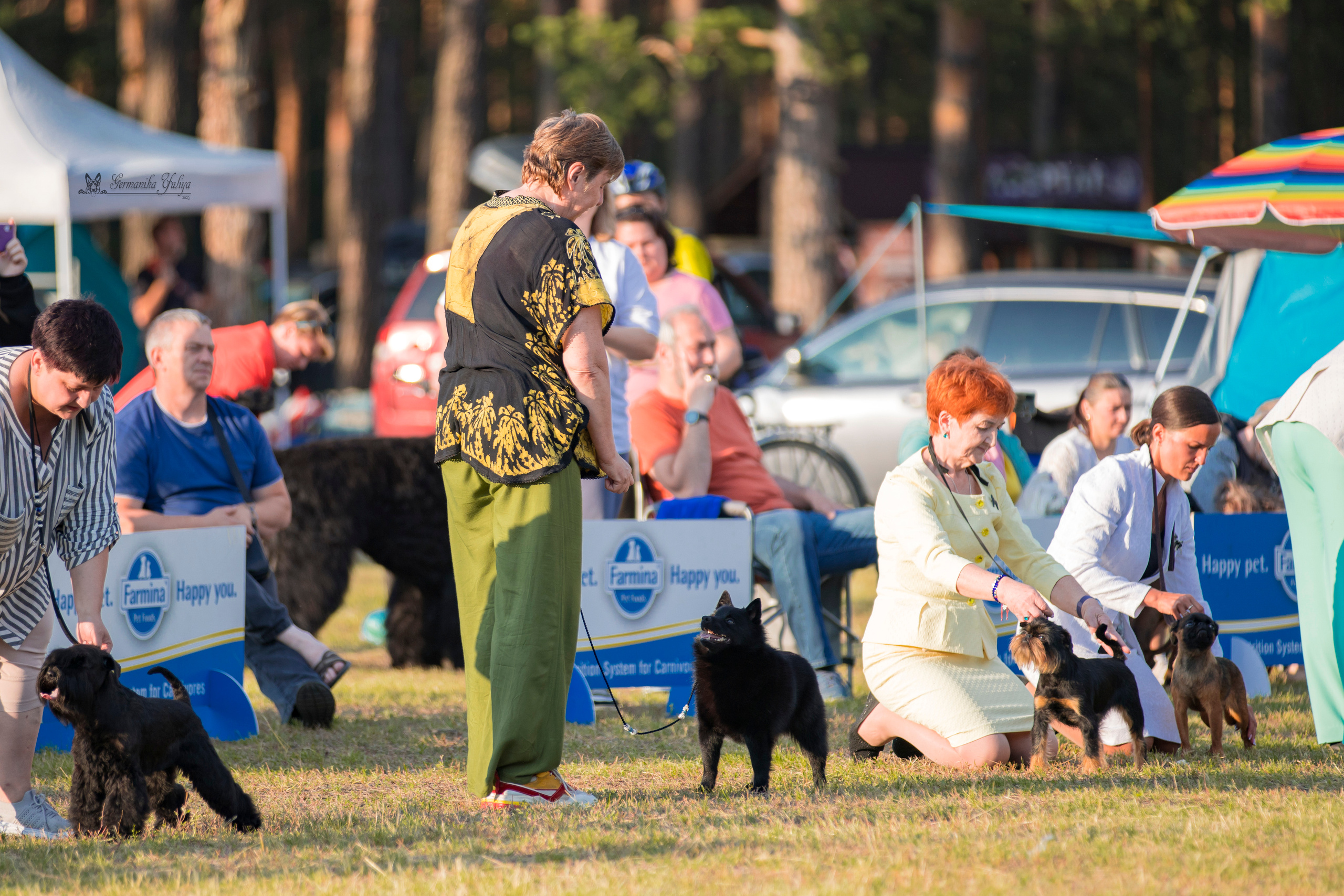 Владимир 1-2.07.2023. Фотограф-анималист Юлия Германика